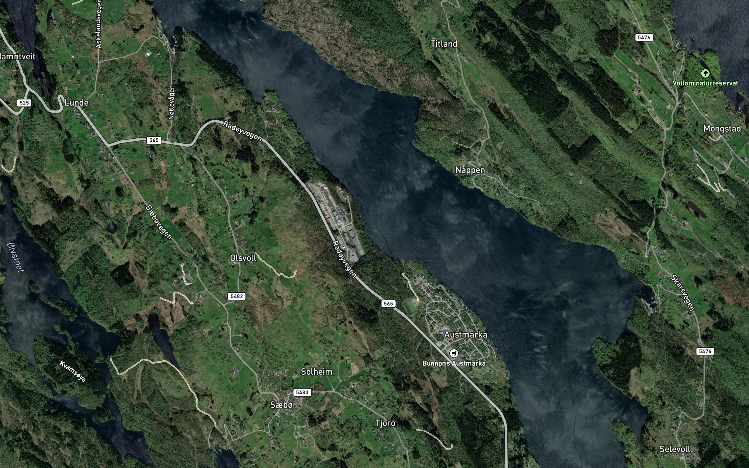 Splintevika