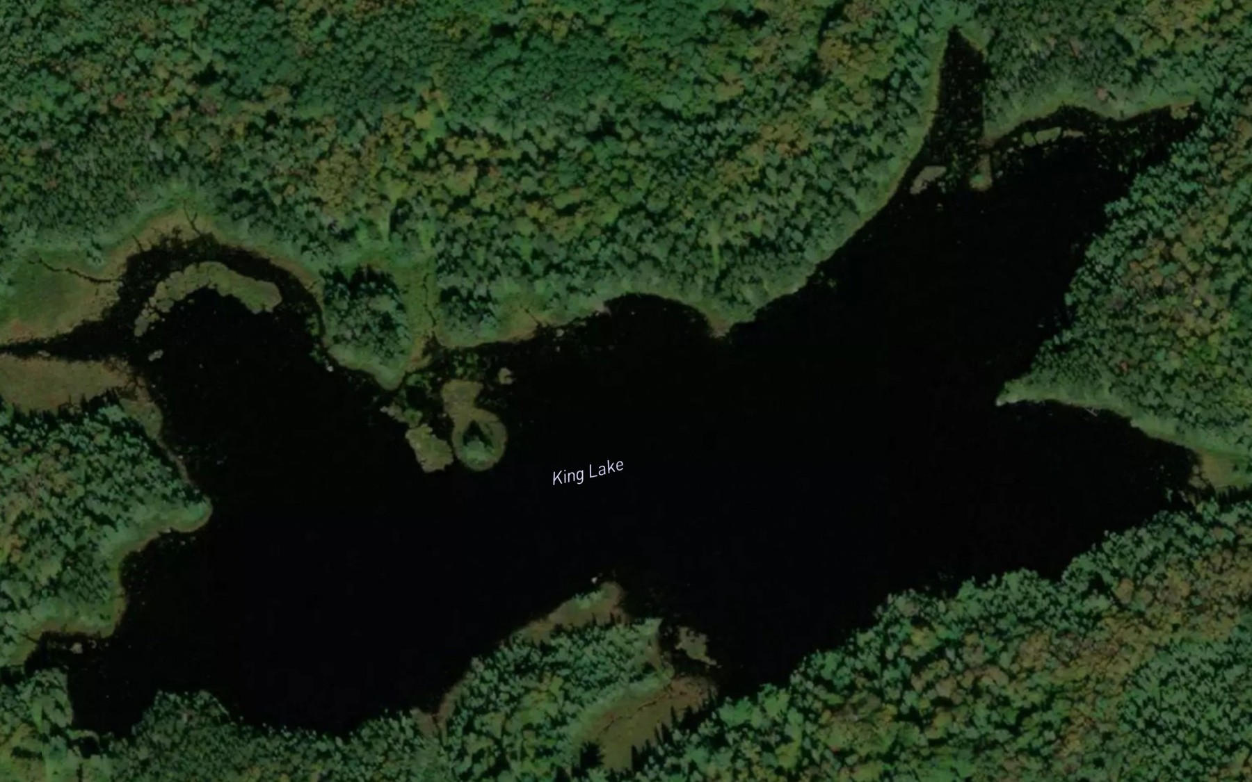 Satellite map of the King Lake