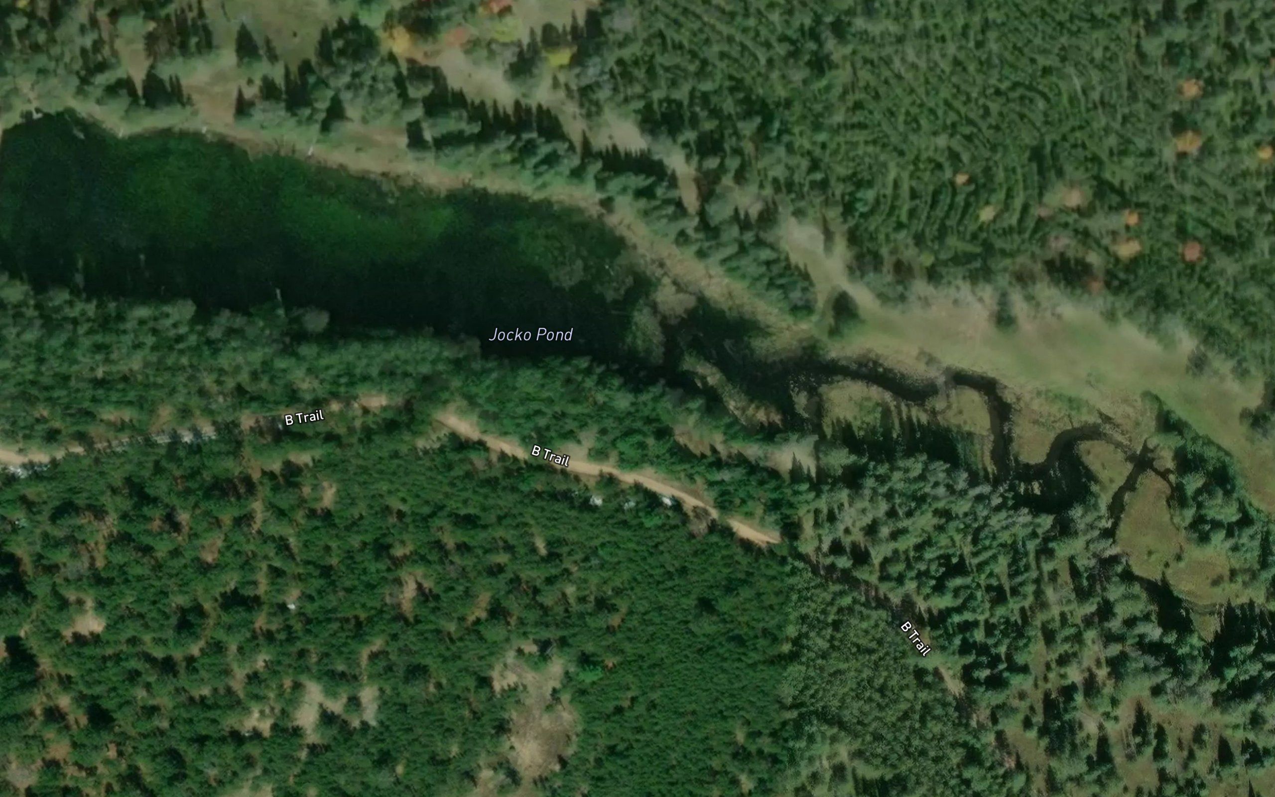 Jocko Pond