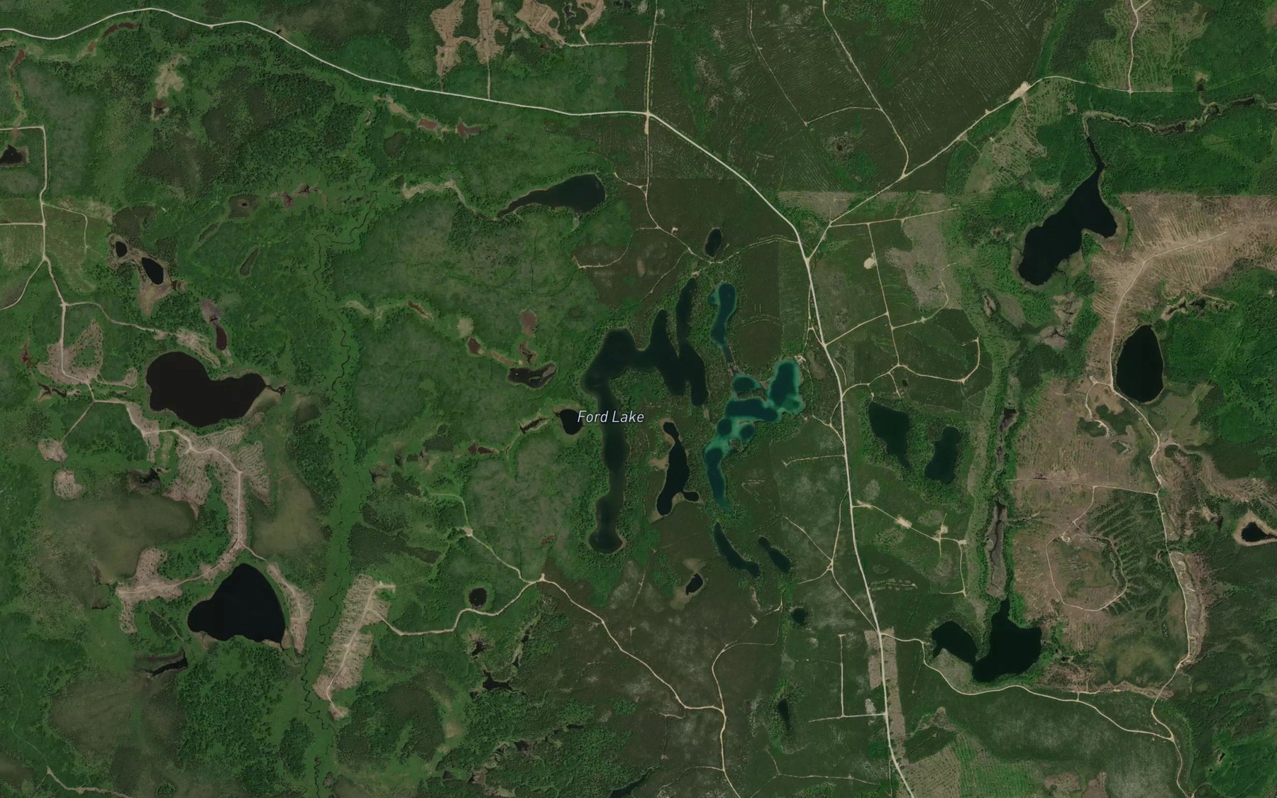 Satellite map of the Ford Lake
