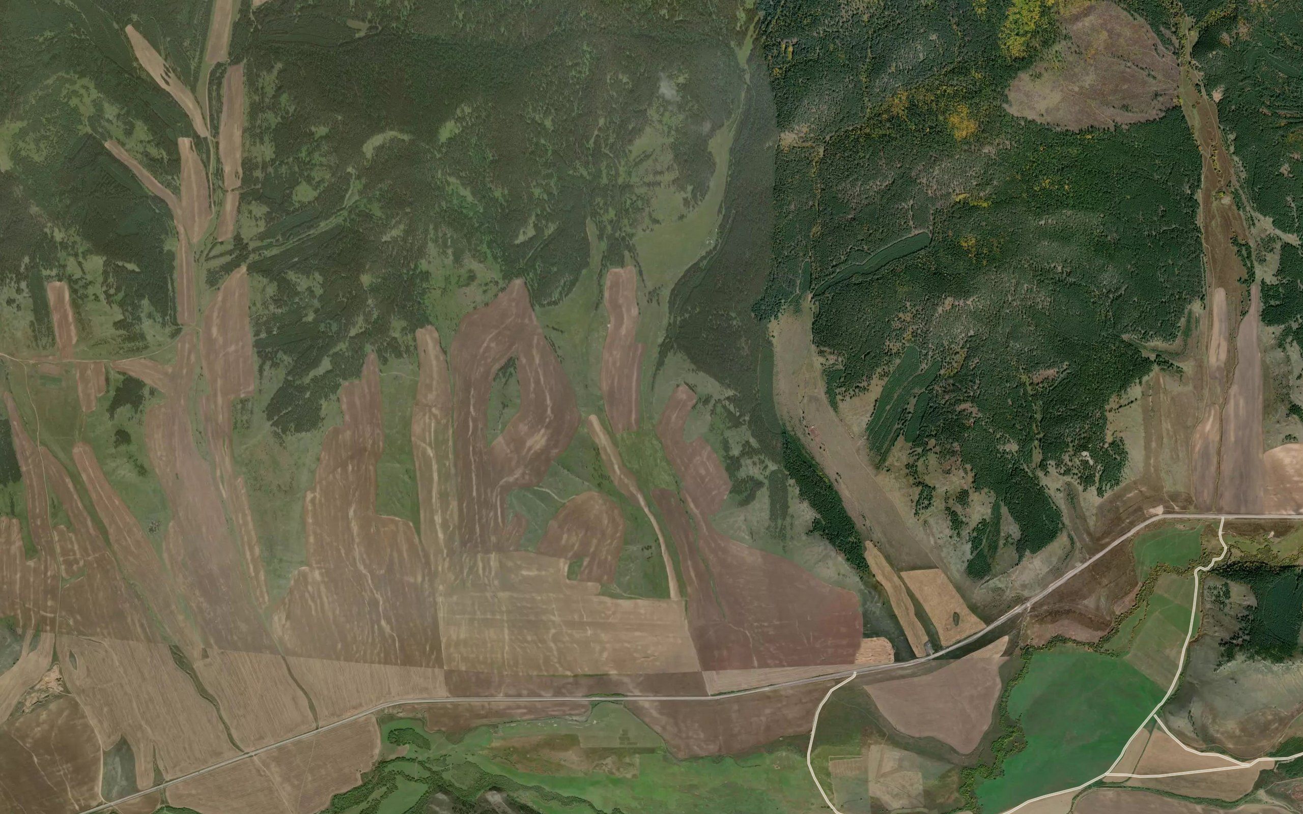 Pad' Popova