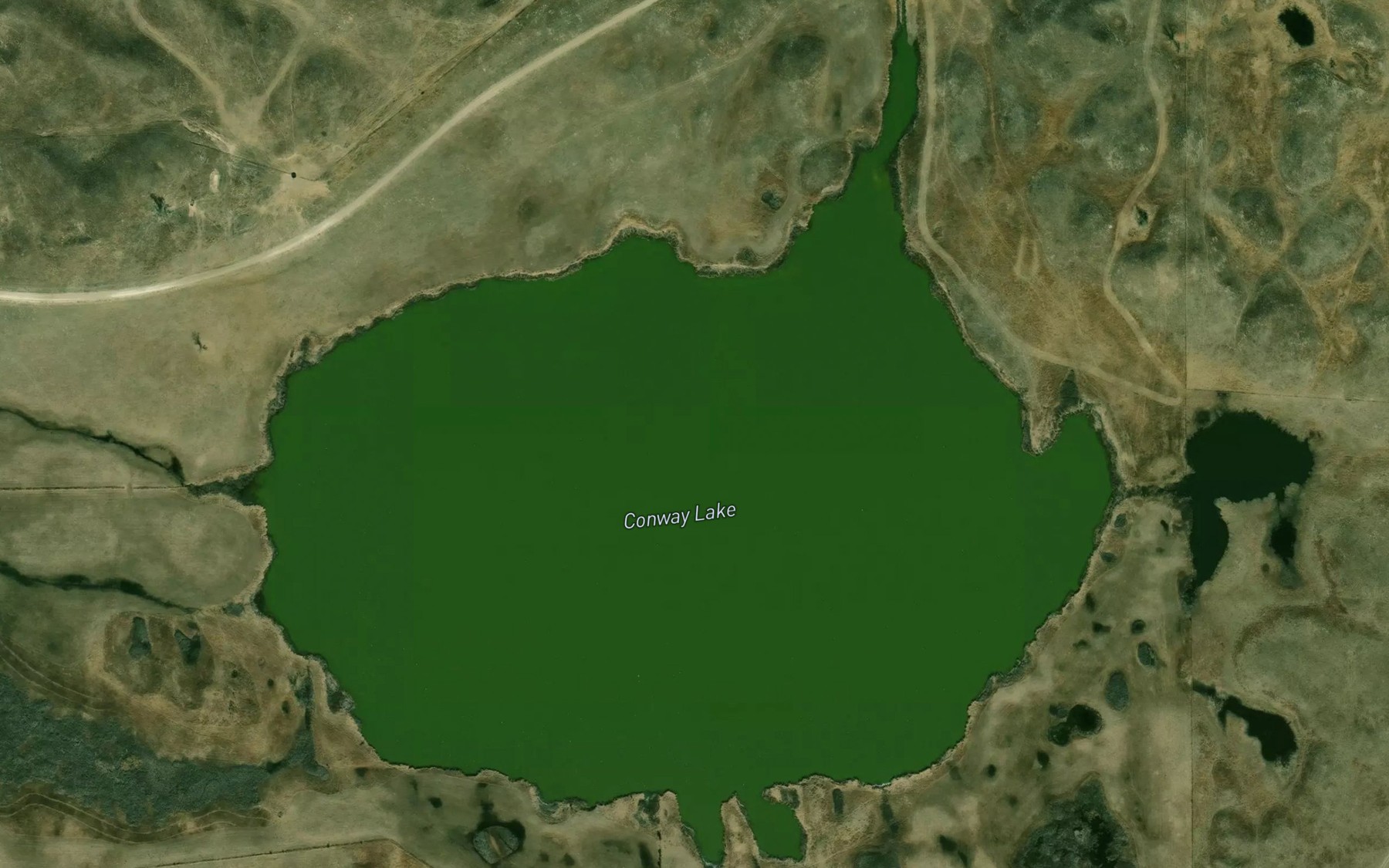 Satellite map of the Conway Lake