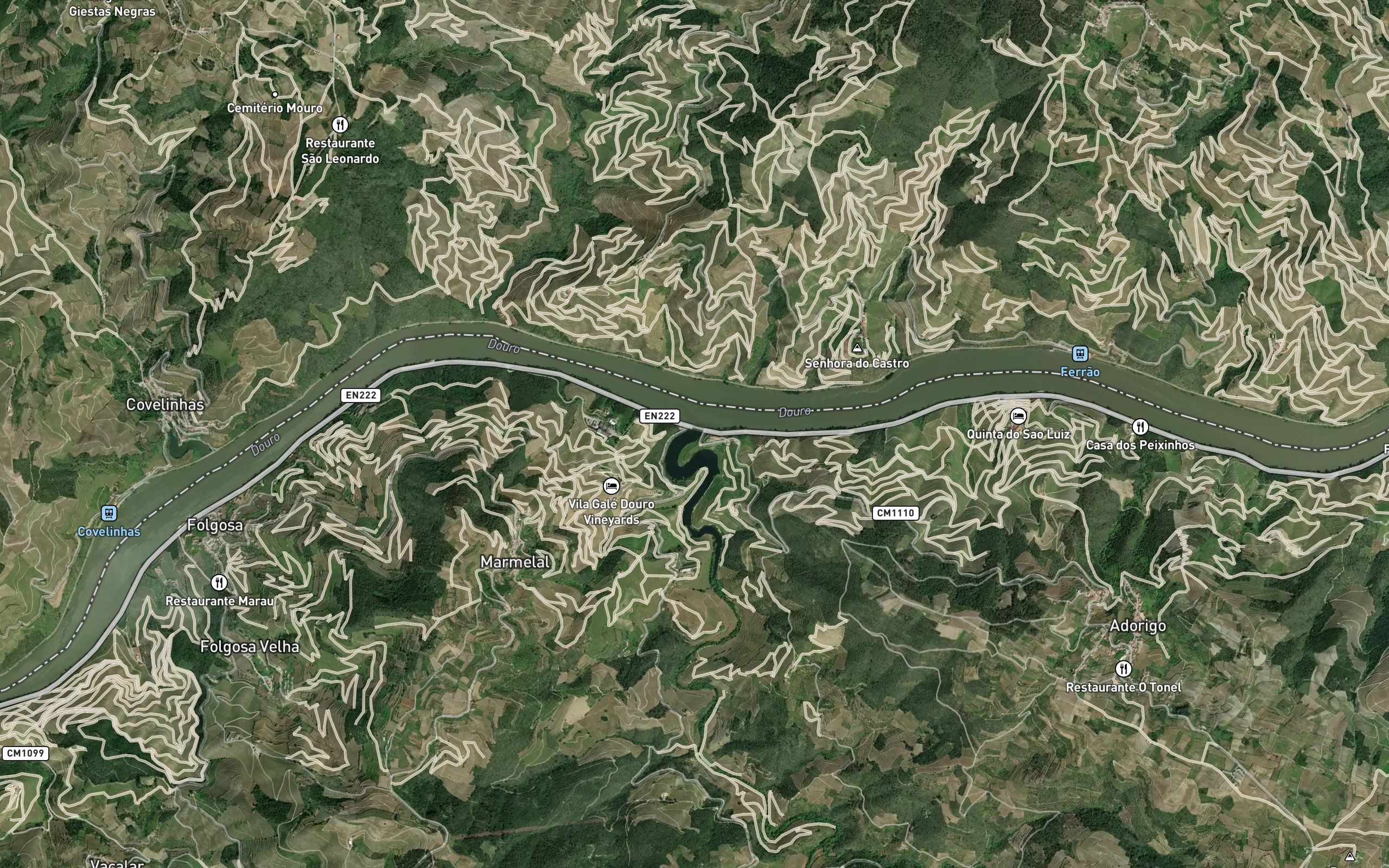 Rio Tedo