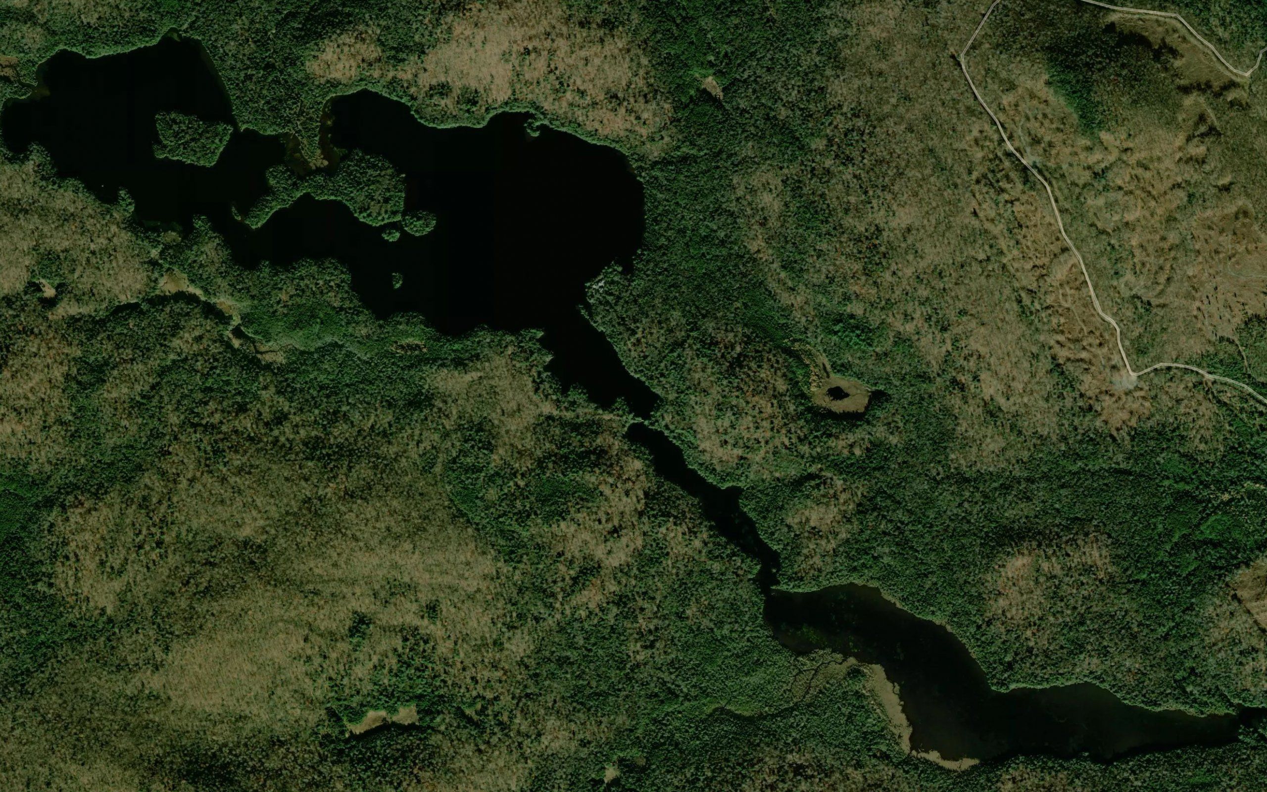 Newcomb Lake