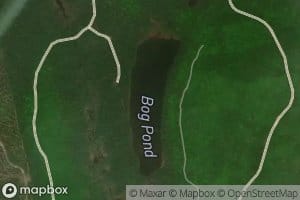 Bog Pond