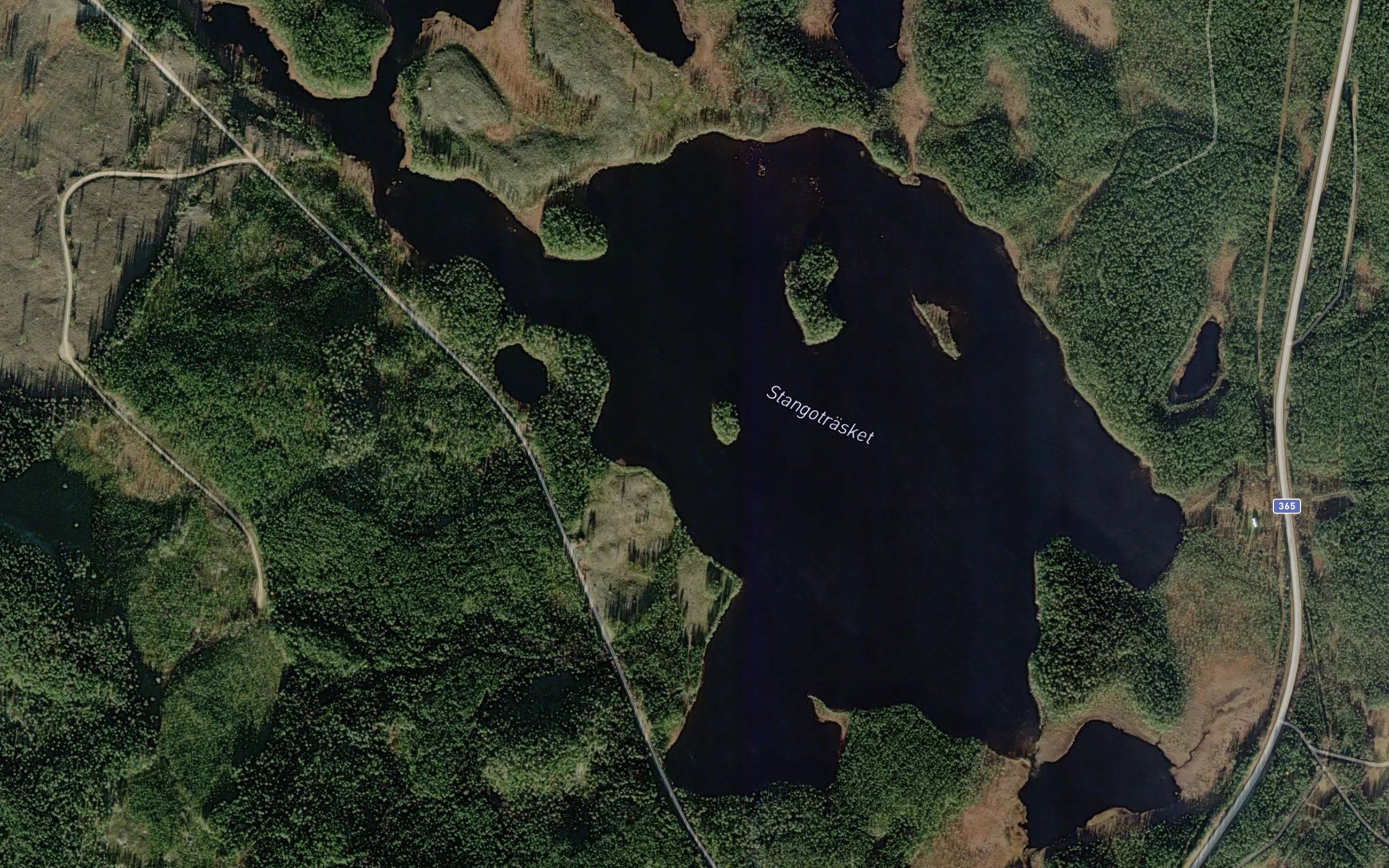 Stangotrasket