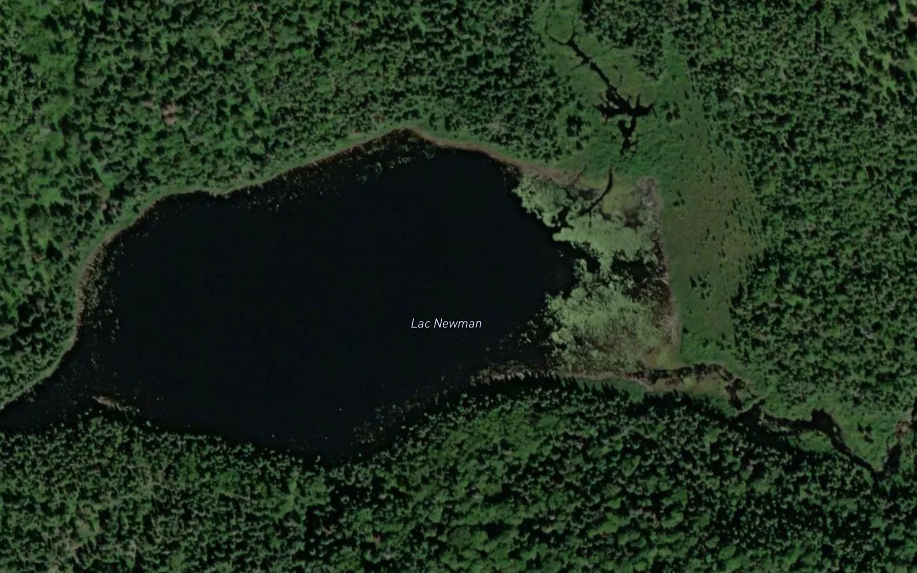Satellite map of the Lac Newman