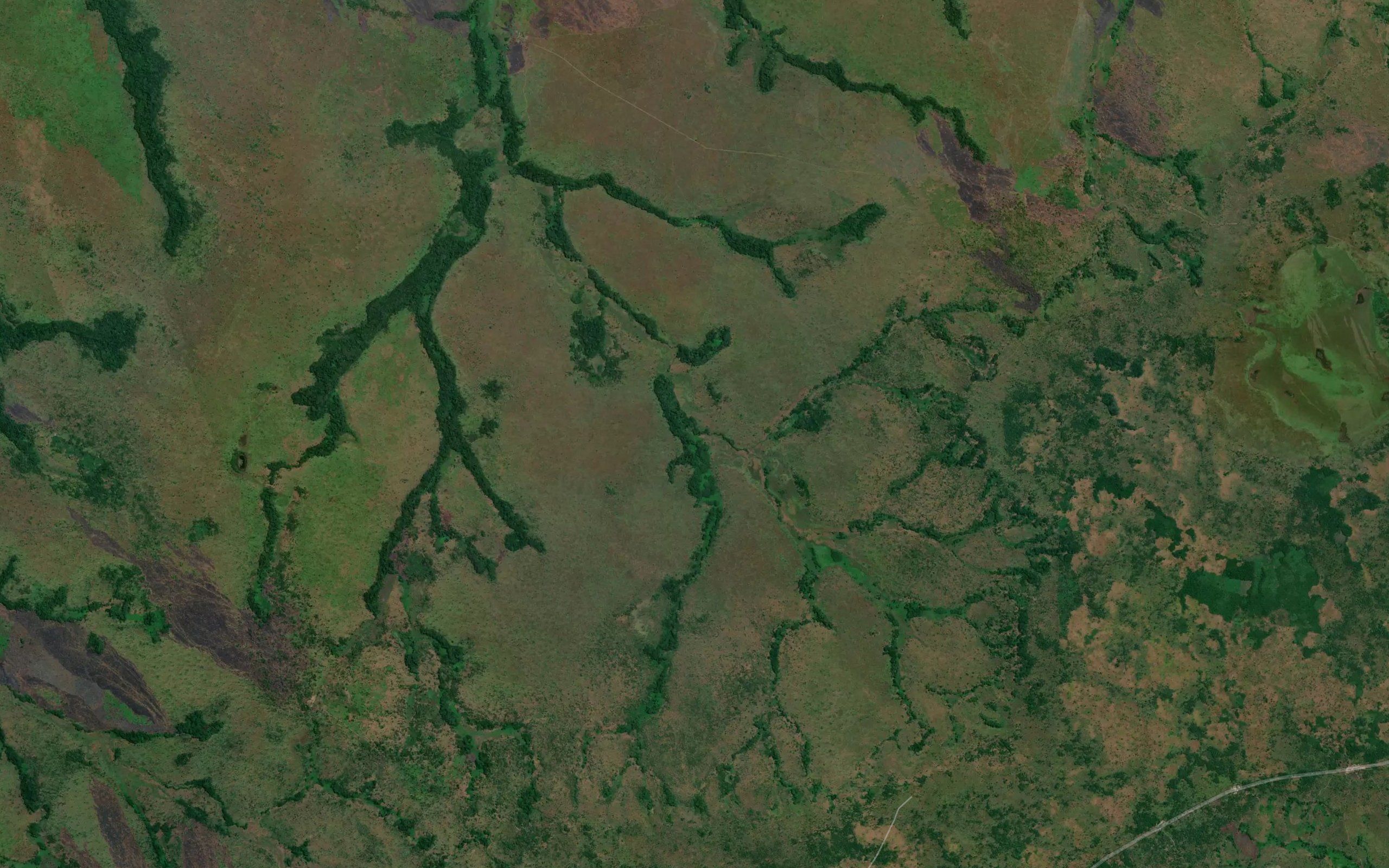 Kangoi