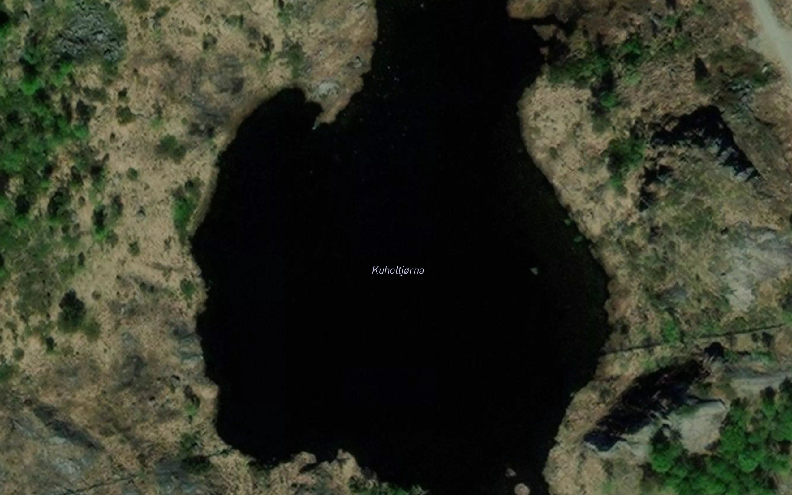 Kuholtjorna