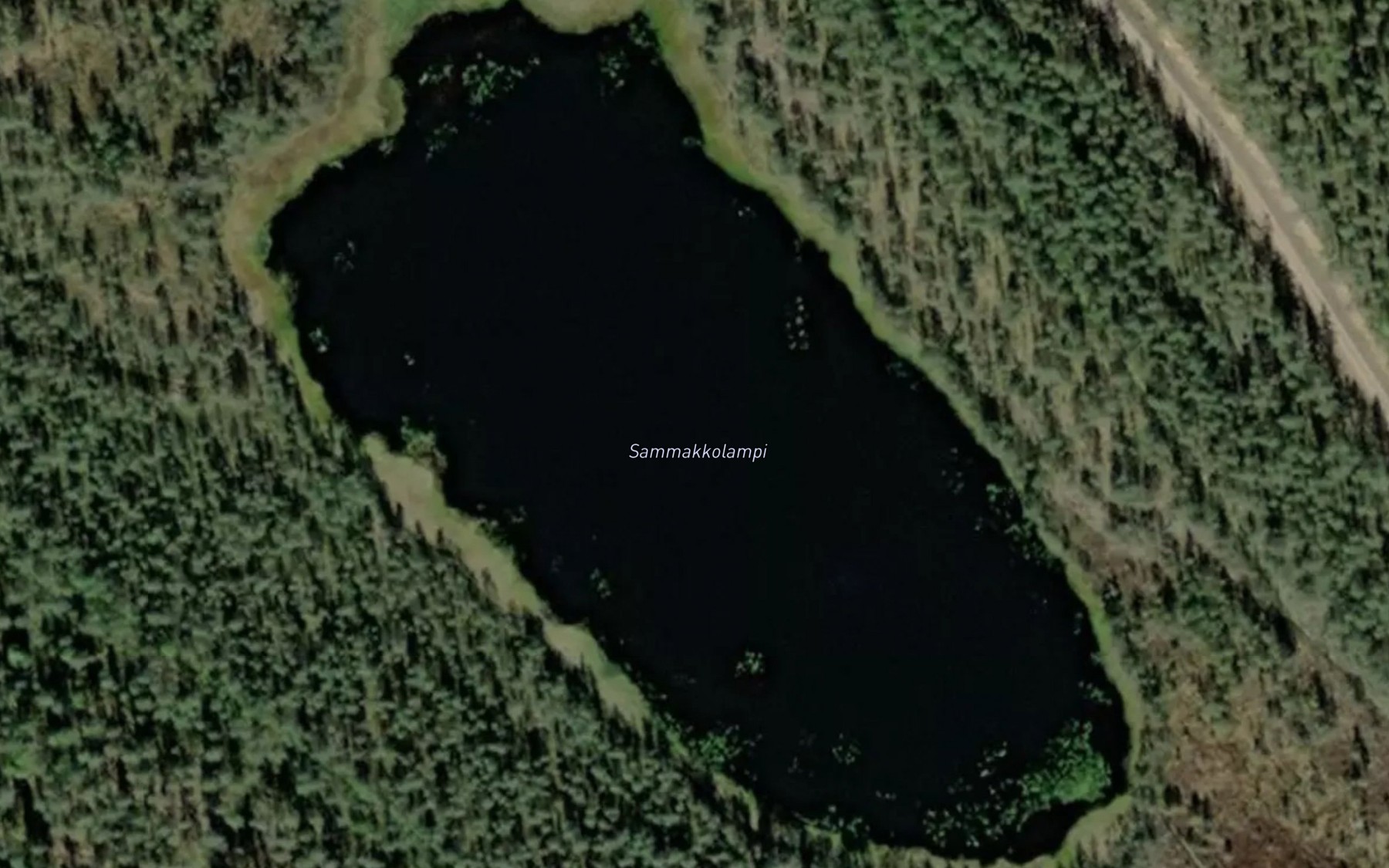 Satellite map of the Sammakkolampi