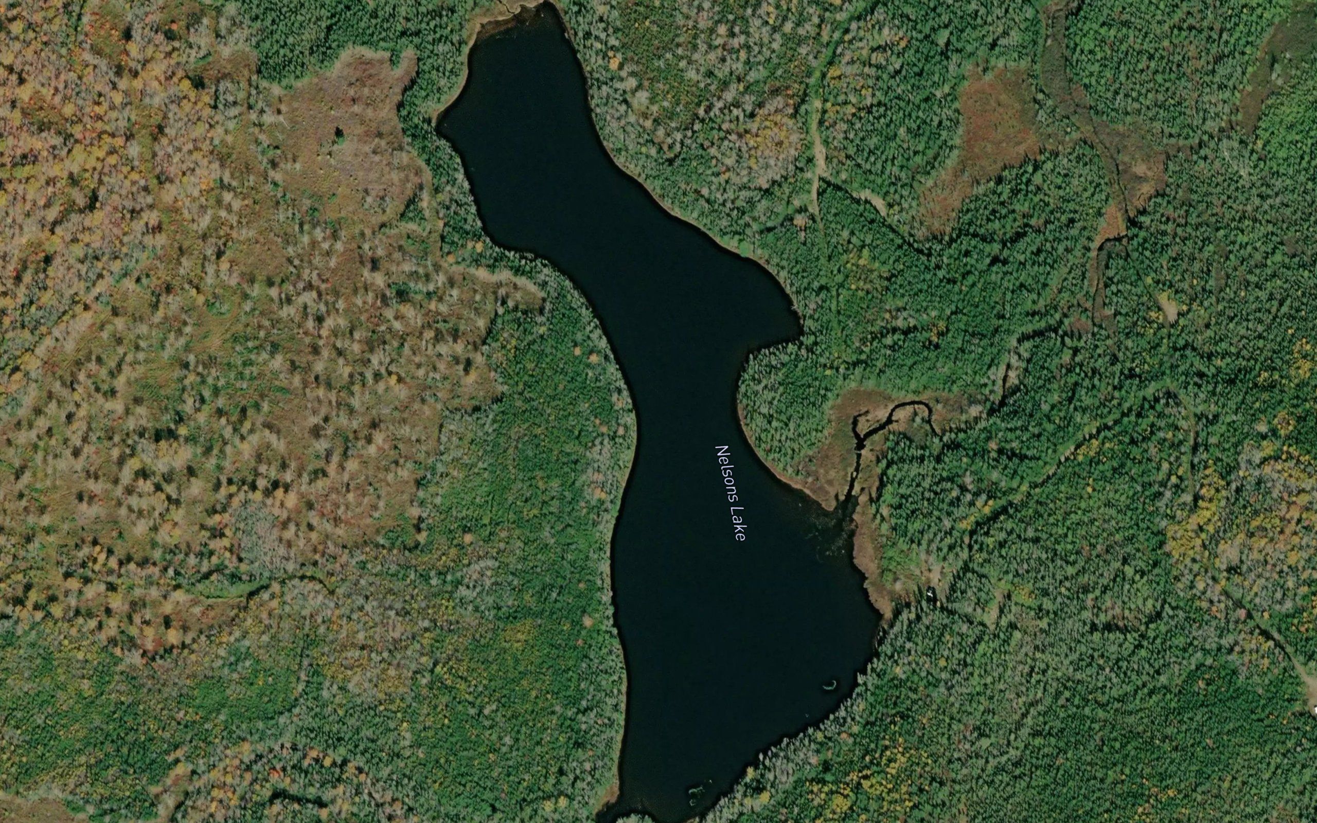Nelsons Lake