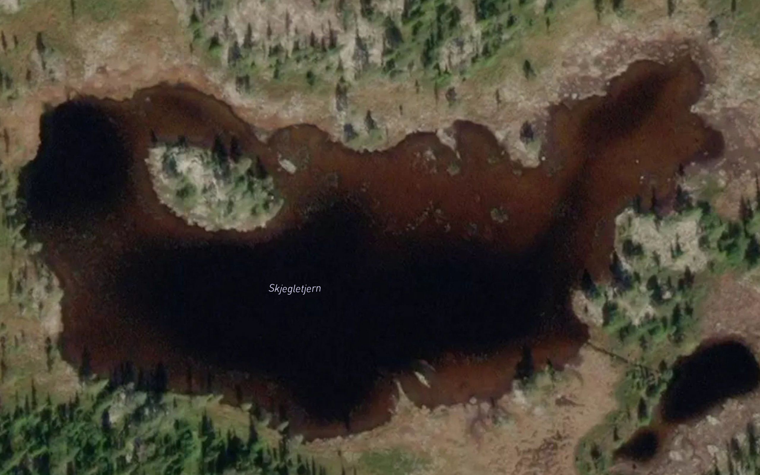 Skjegletjern