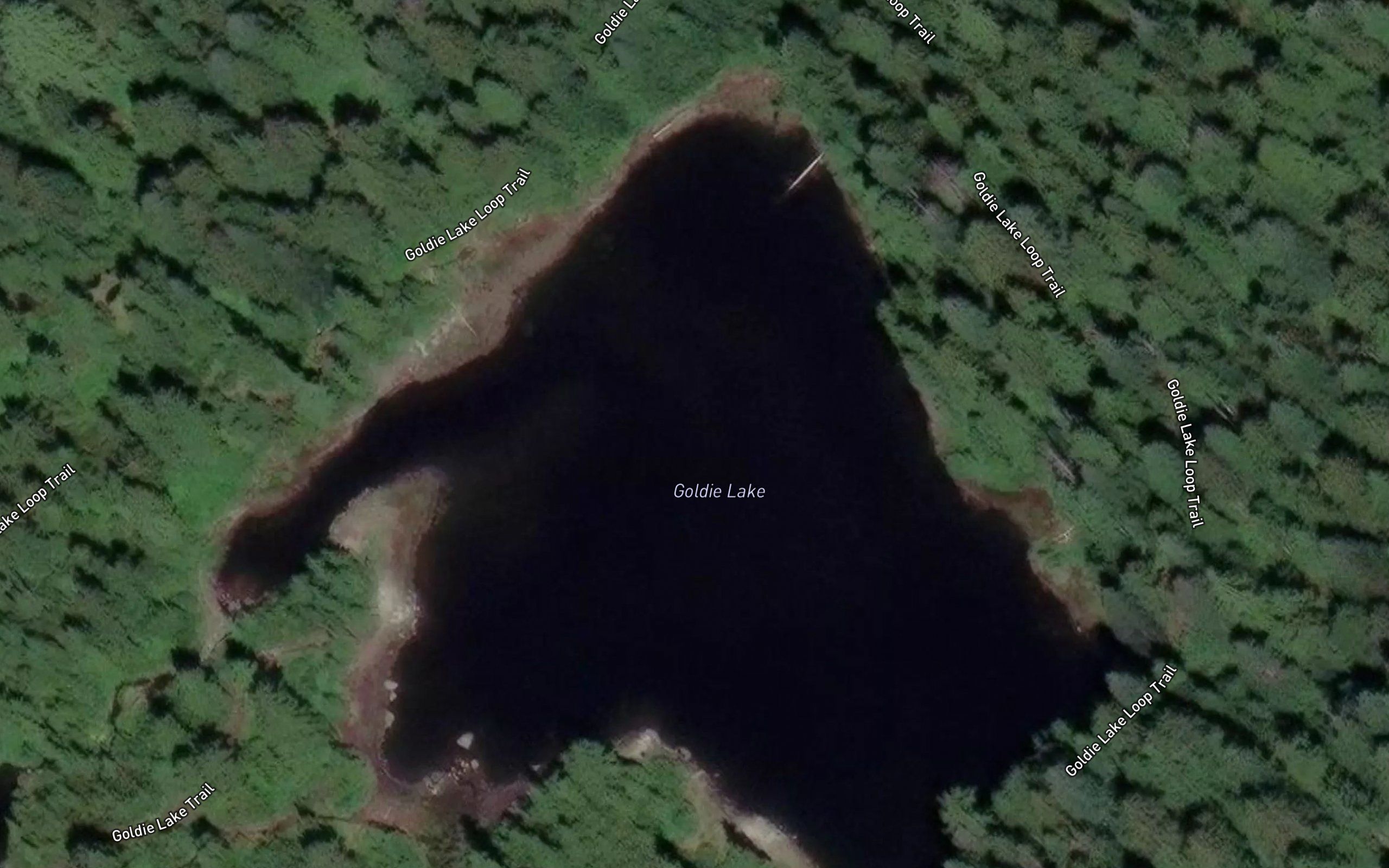 Goldie Lake
