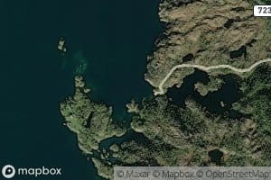 Bergvika