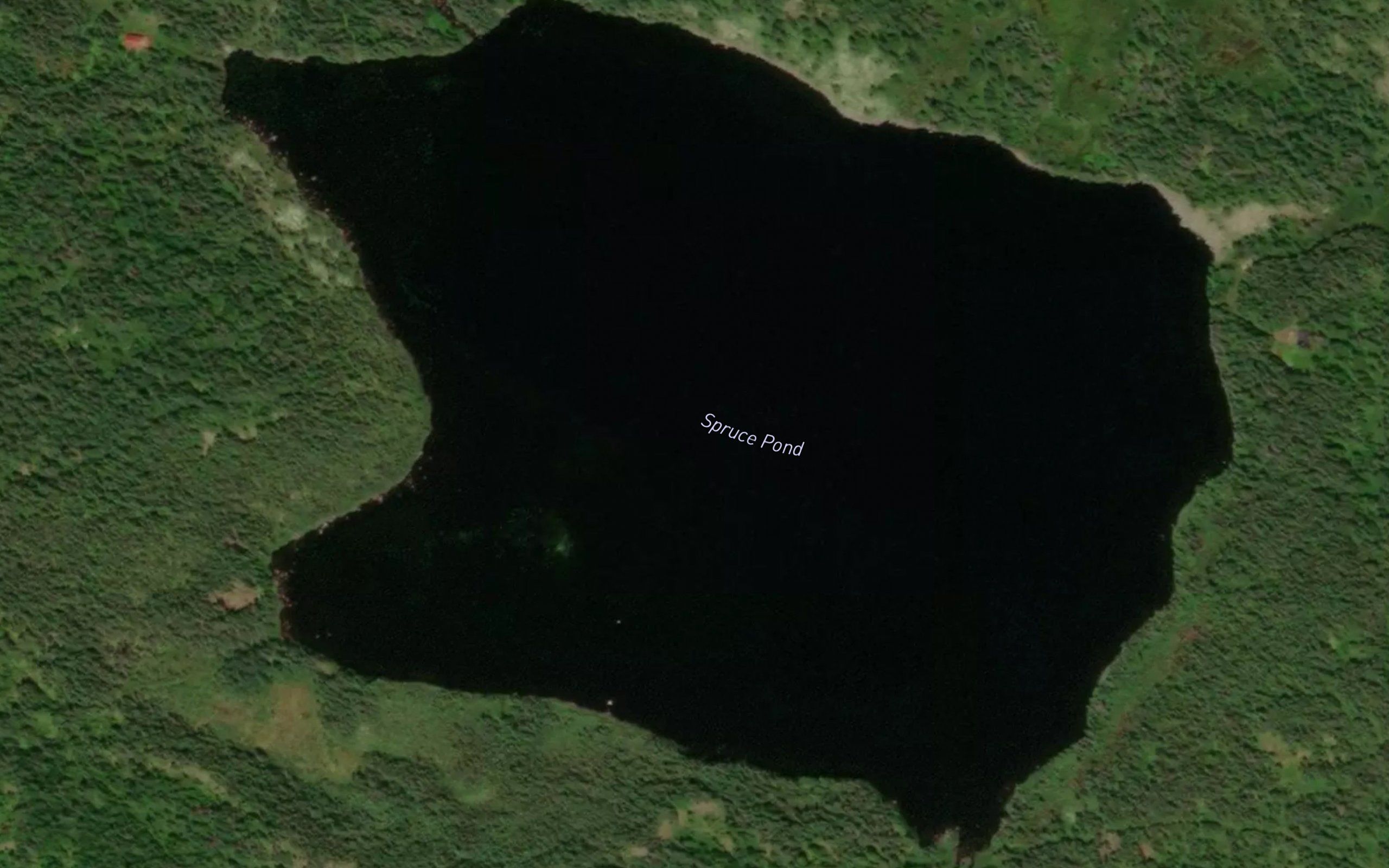 Spruce Pond