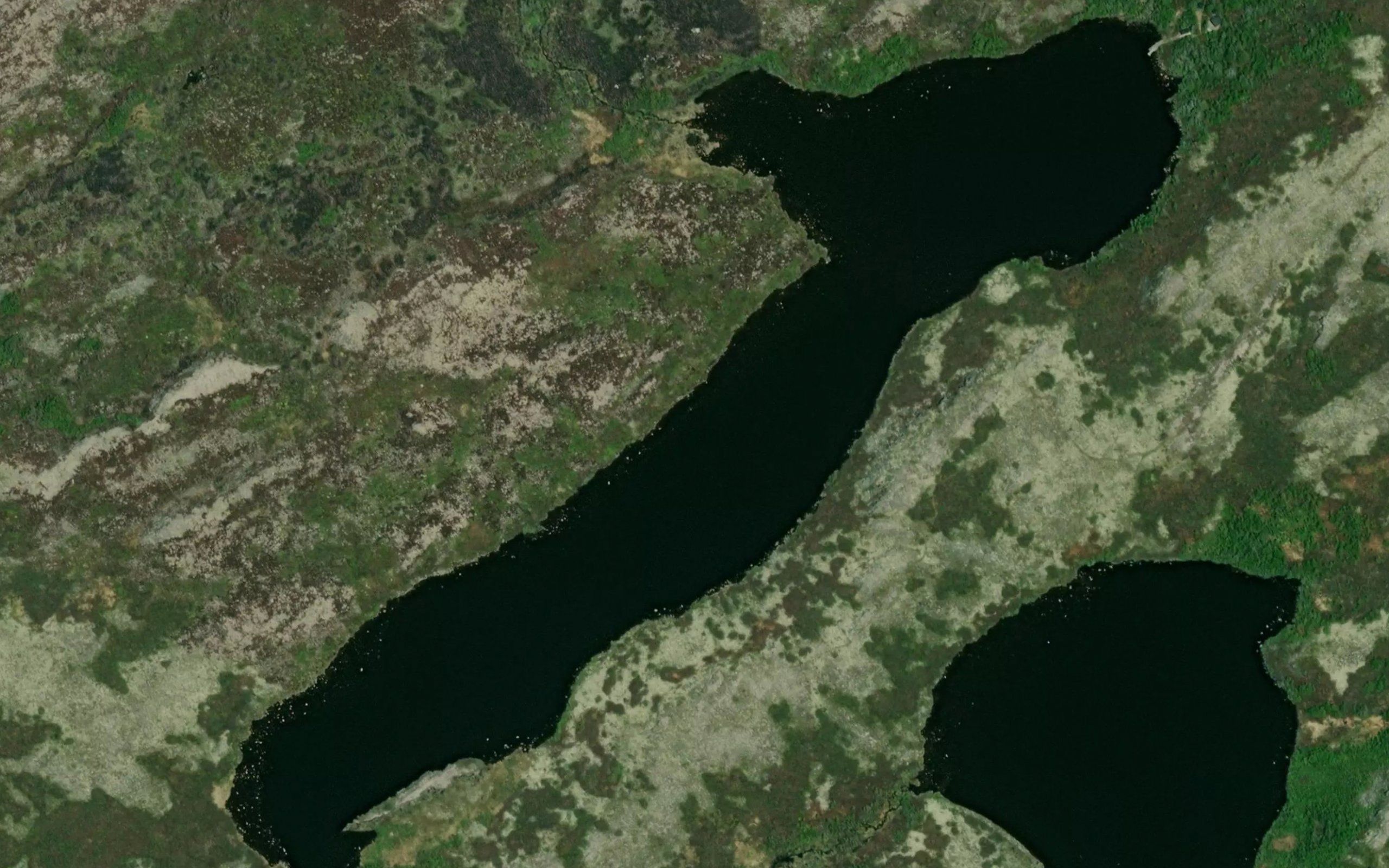 Daniels Cove Long Pond