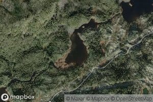 Royetjorn