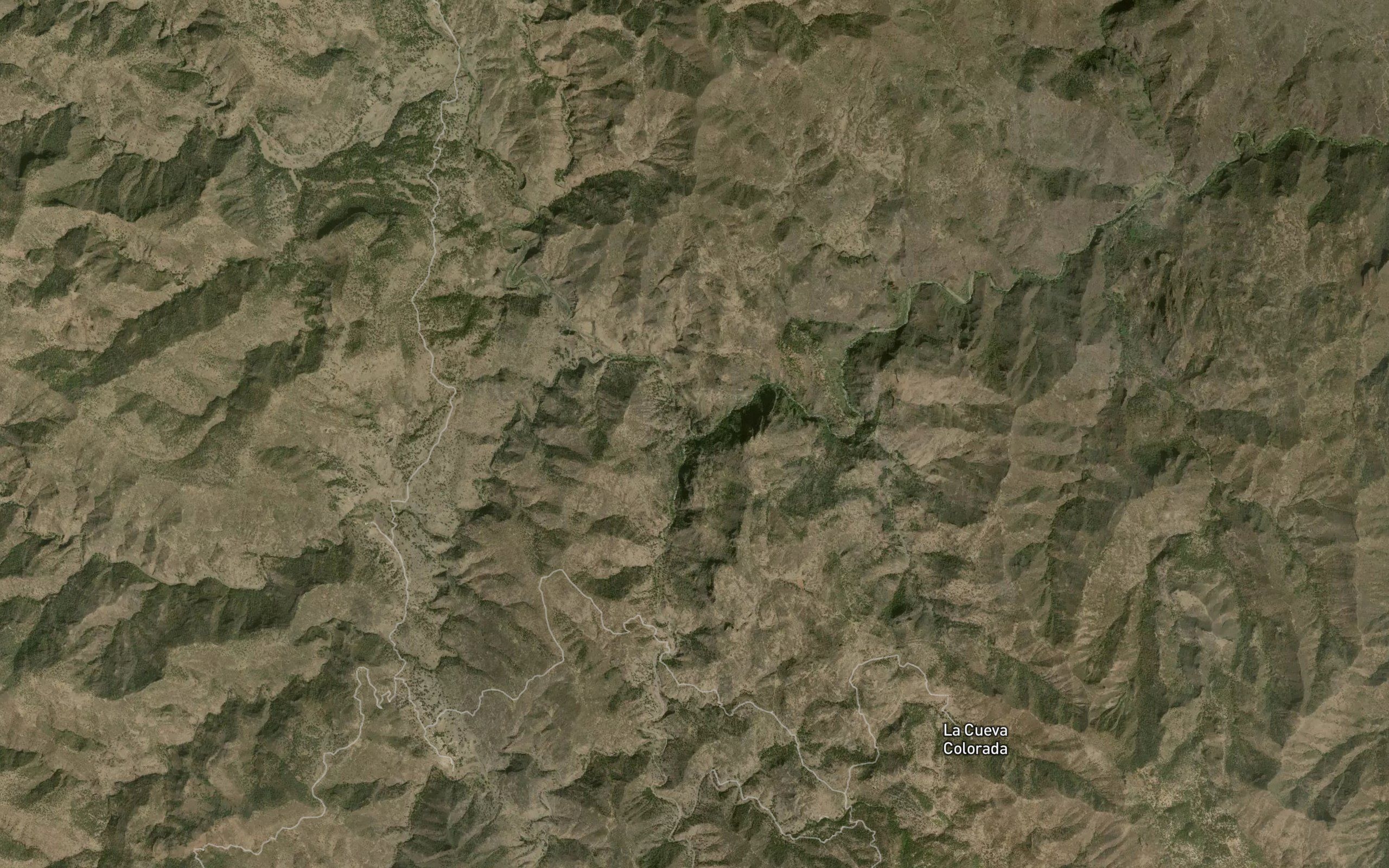 El Palmarito