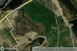 Upper Barn Meadow Marsh