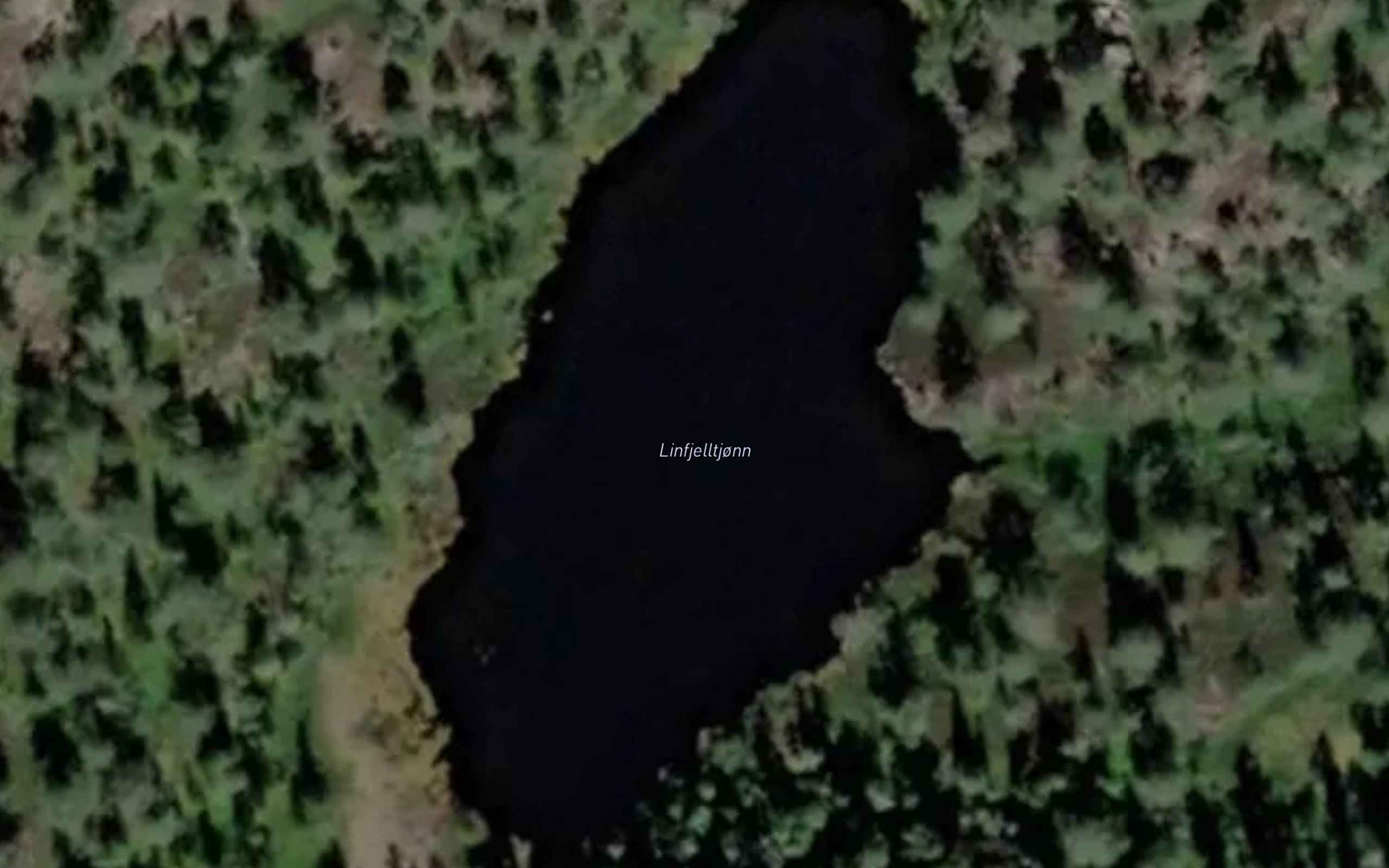 Linfjelltjorn