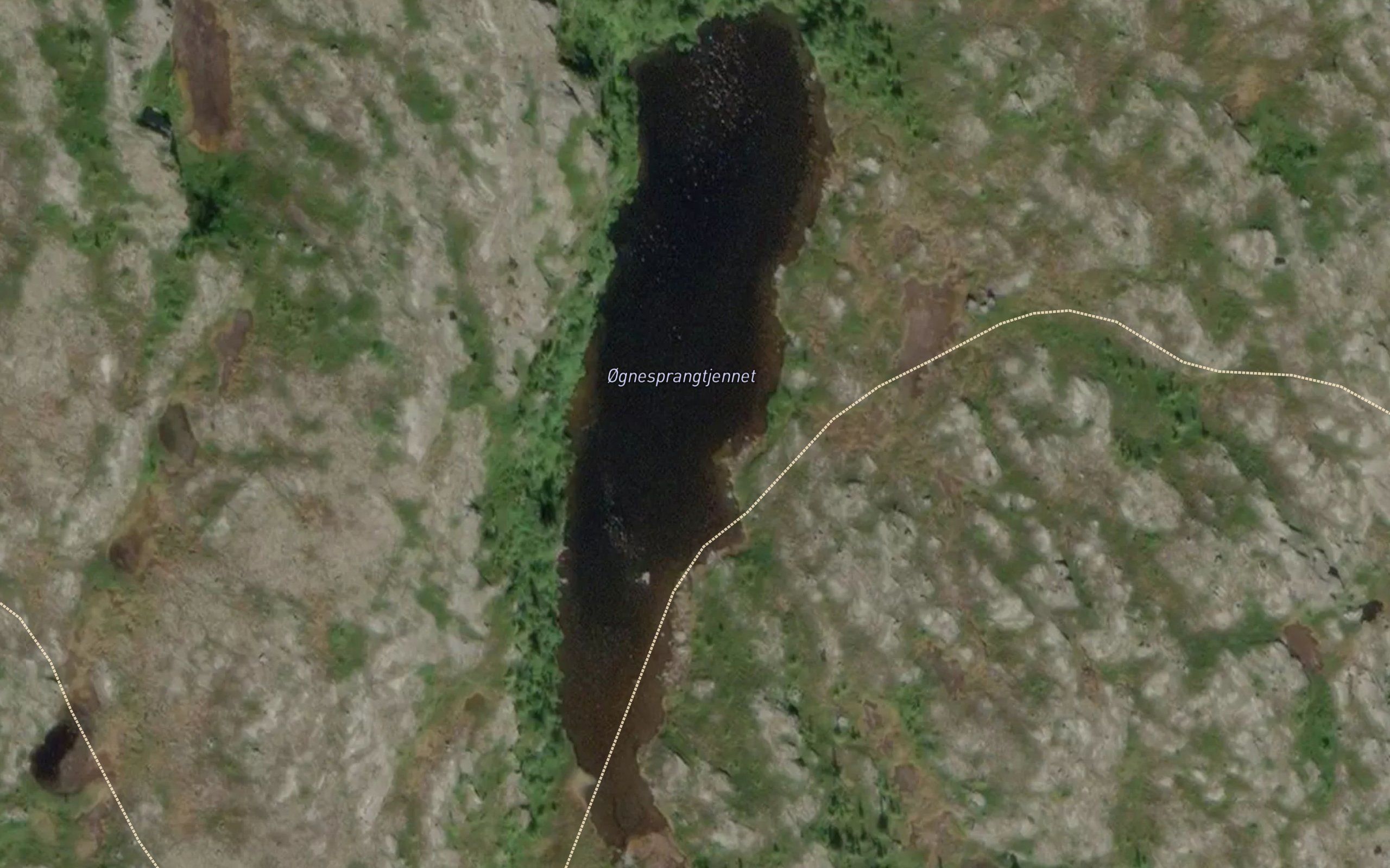 Ognesprangtjorna