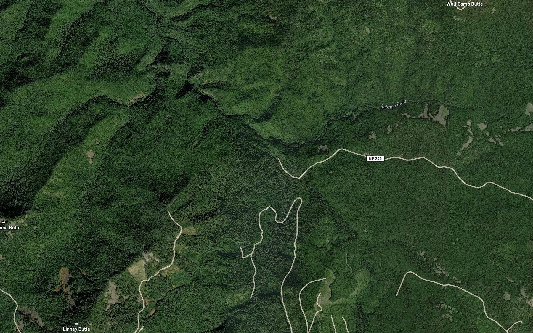Satellite map of the Linney Creek
