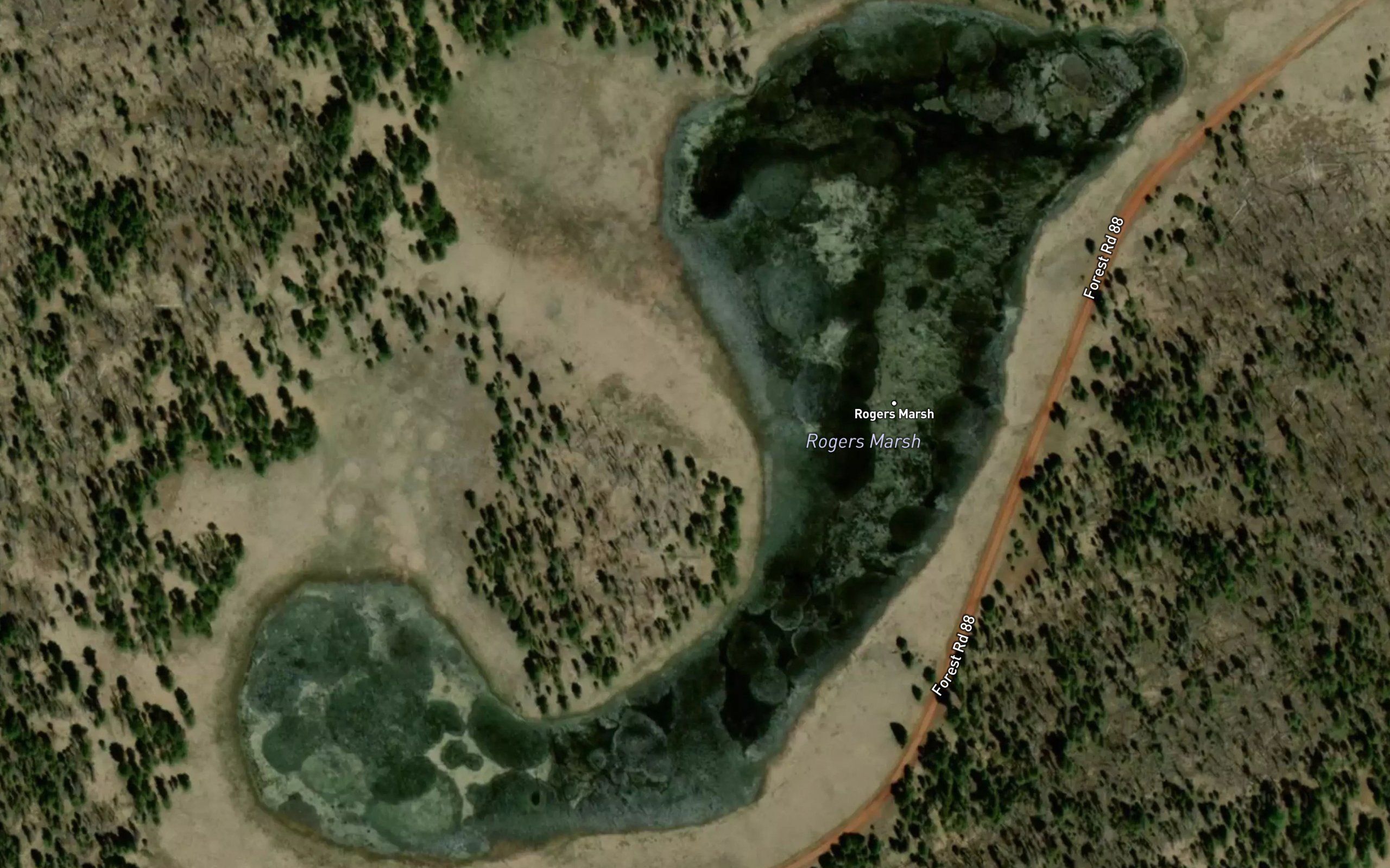 Rogers Marsh