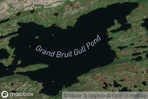 Grand Bruit Gull Pond