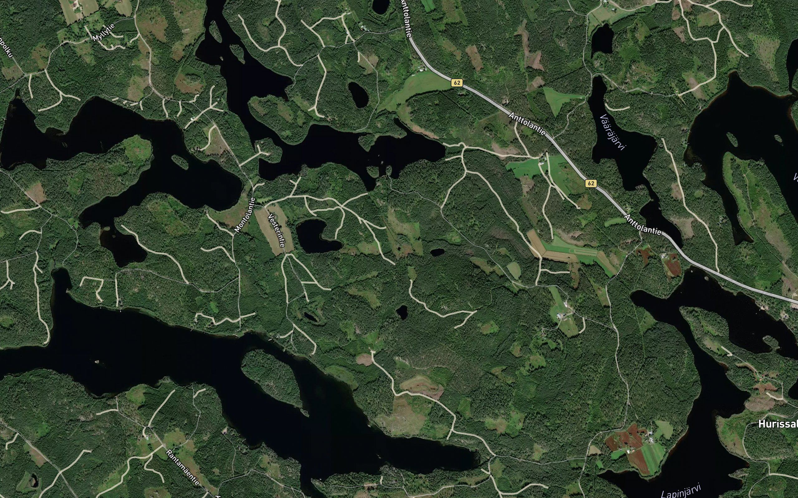 Vasikkalampi