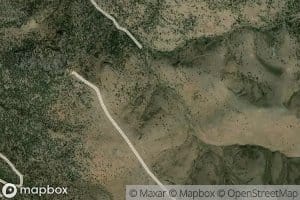 Goyeneche Spring Number Ten