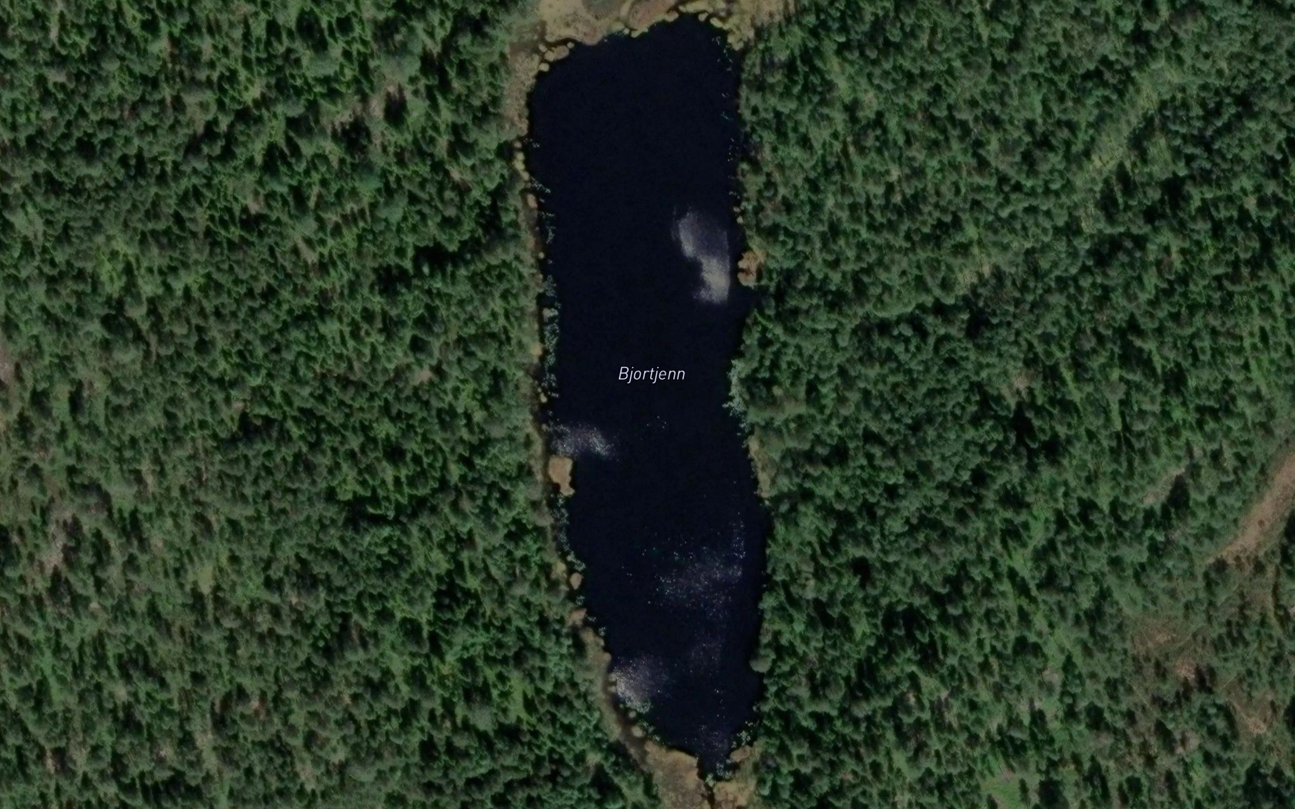 Bjortjern