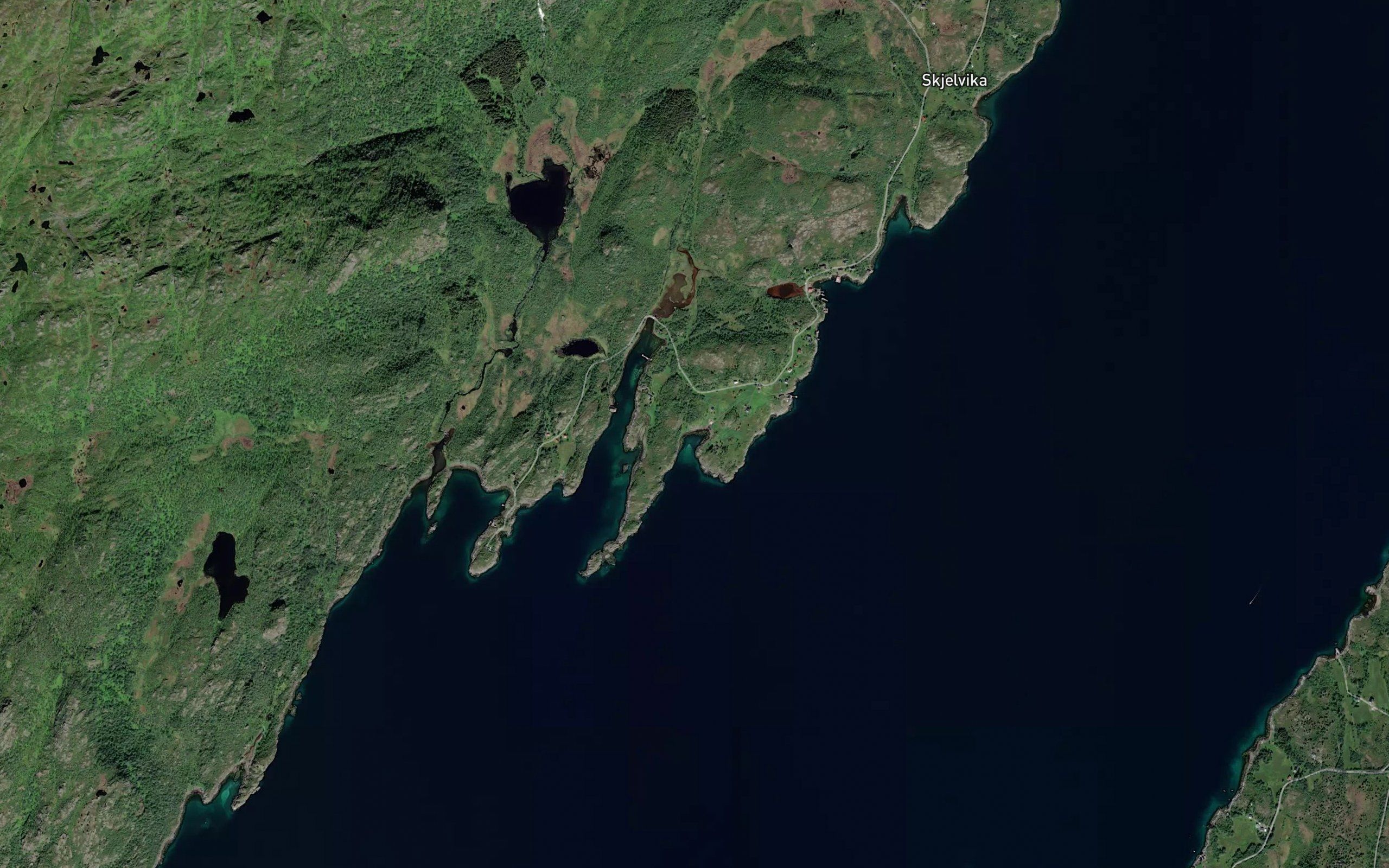 Naustvika
