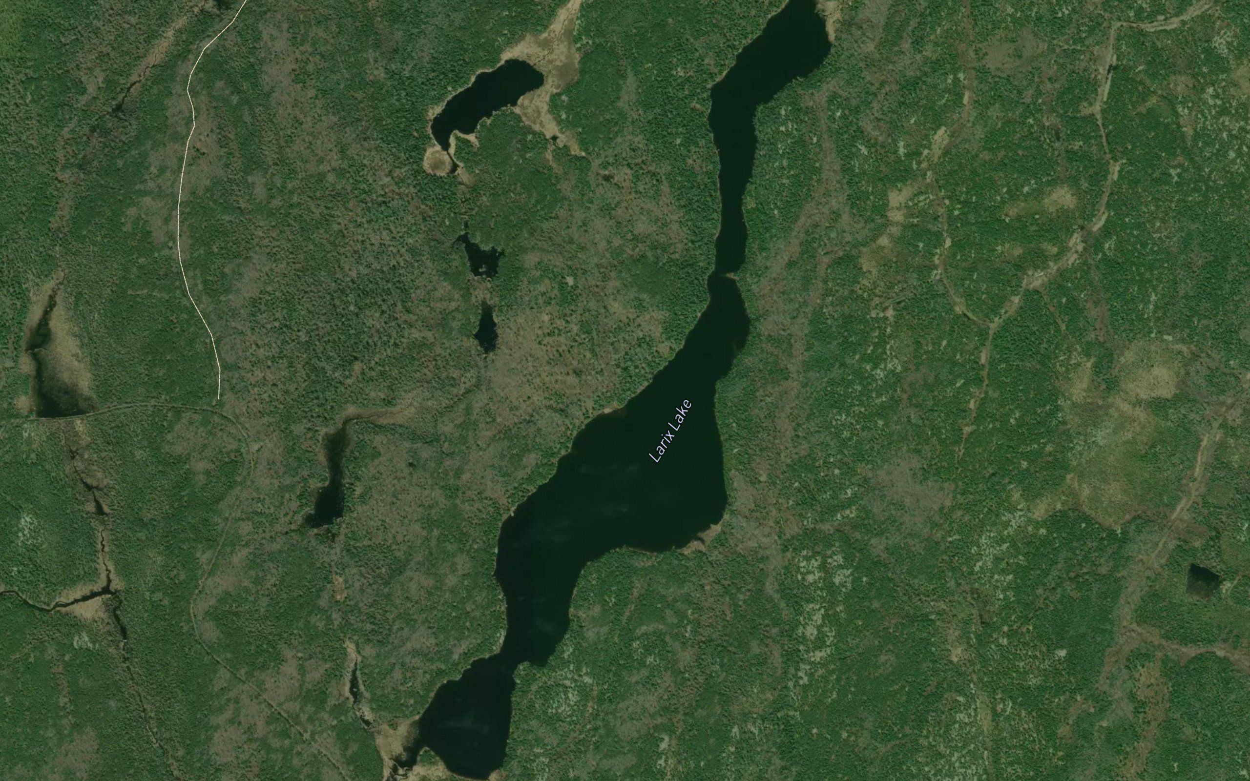 Larix Lake