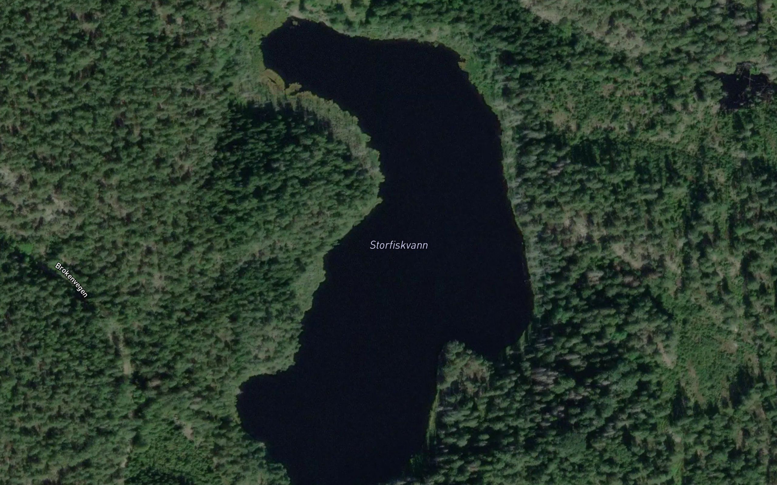 Storfisktjernet