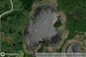 Rice Lake