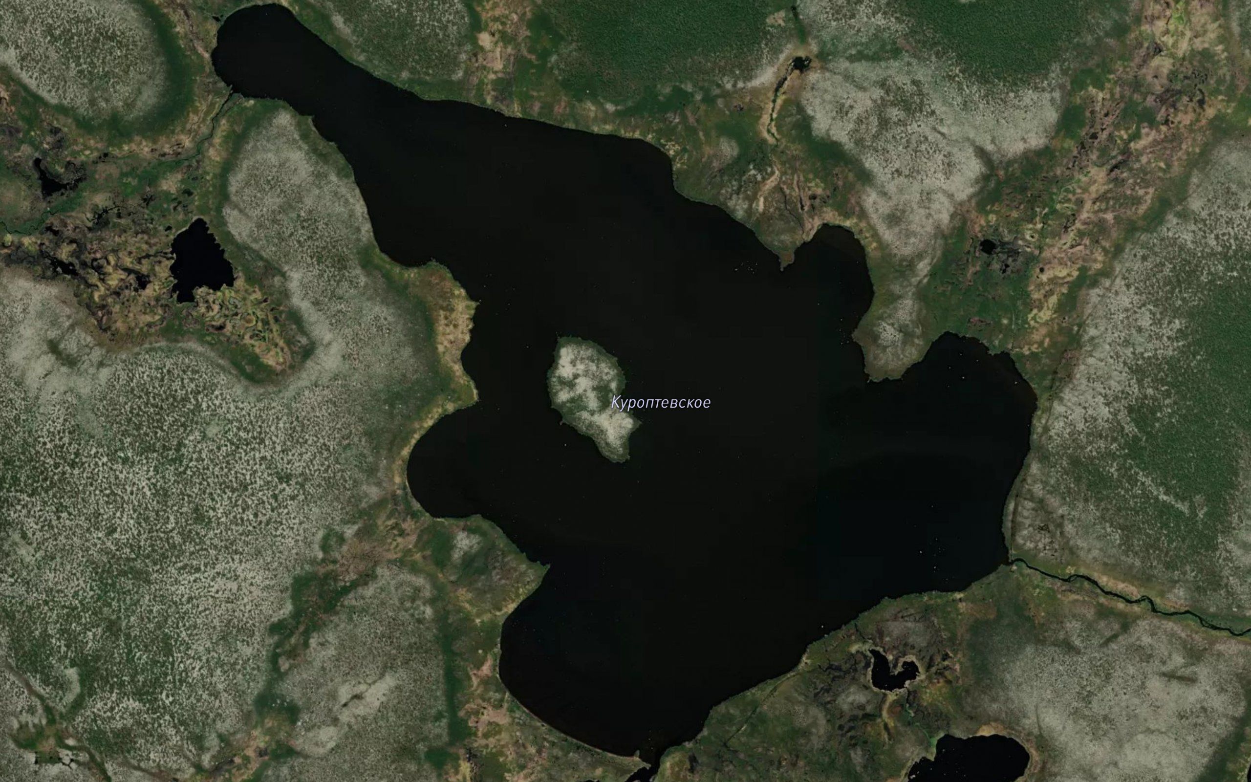 Ozero Kuroptevskoye