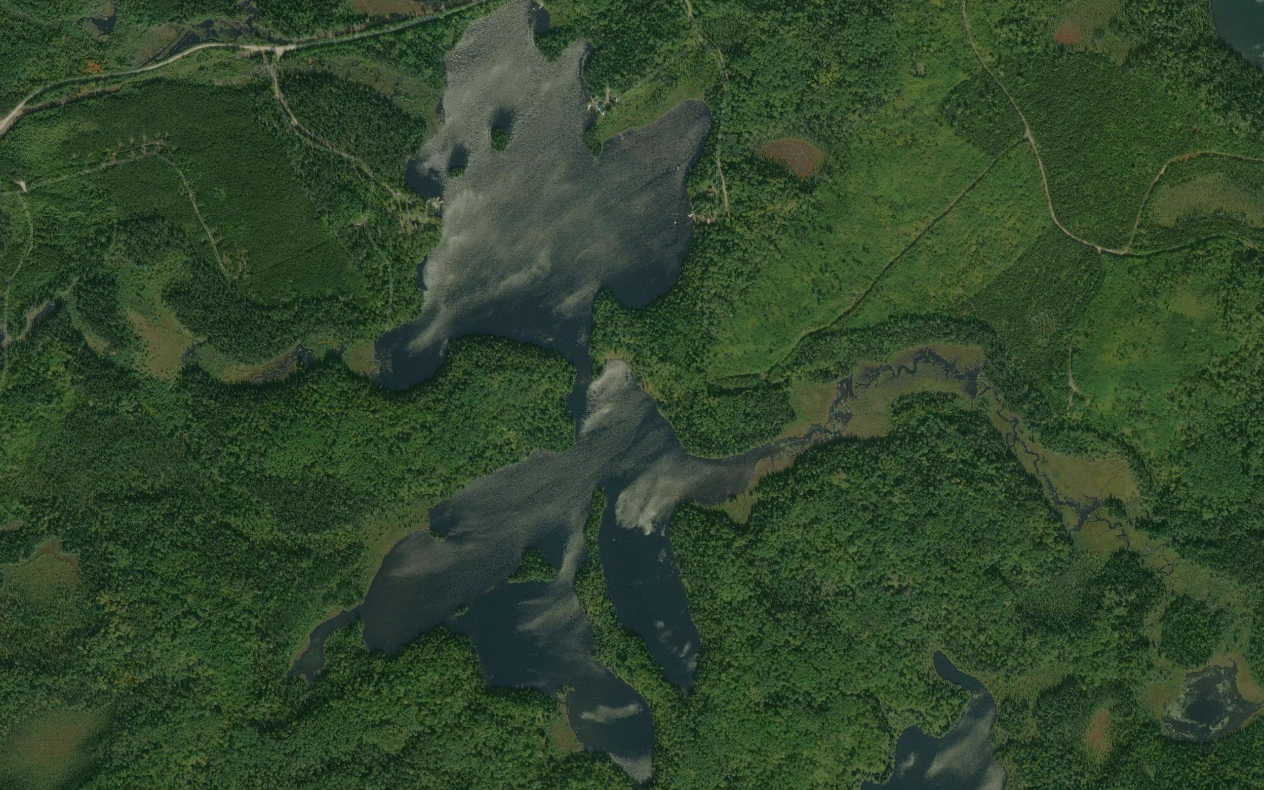 Moodie Lake