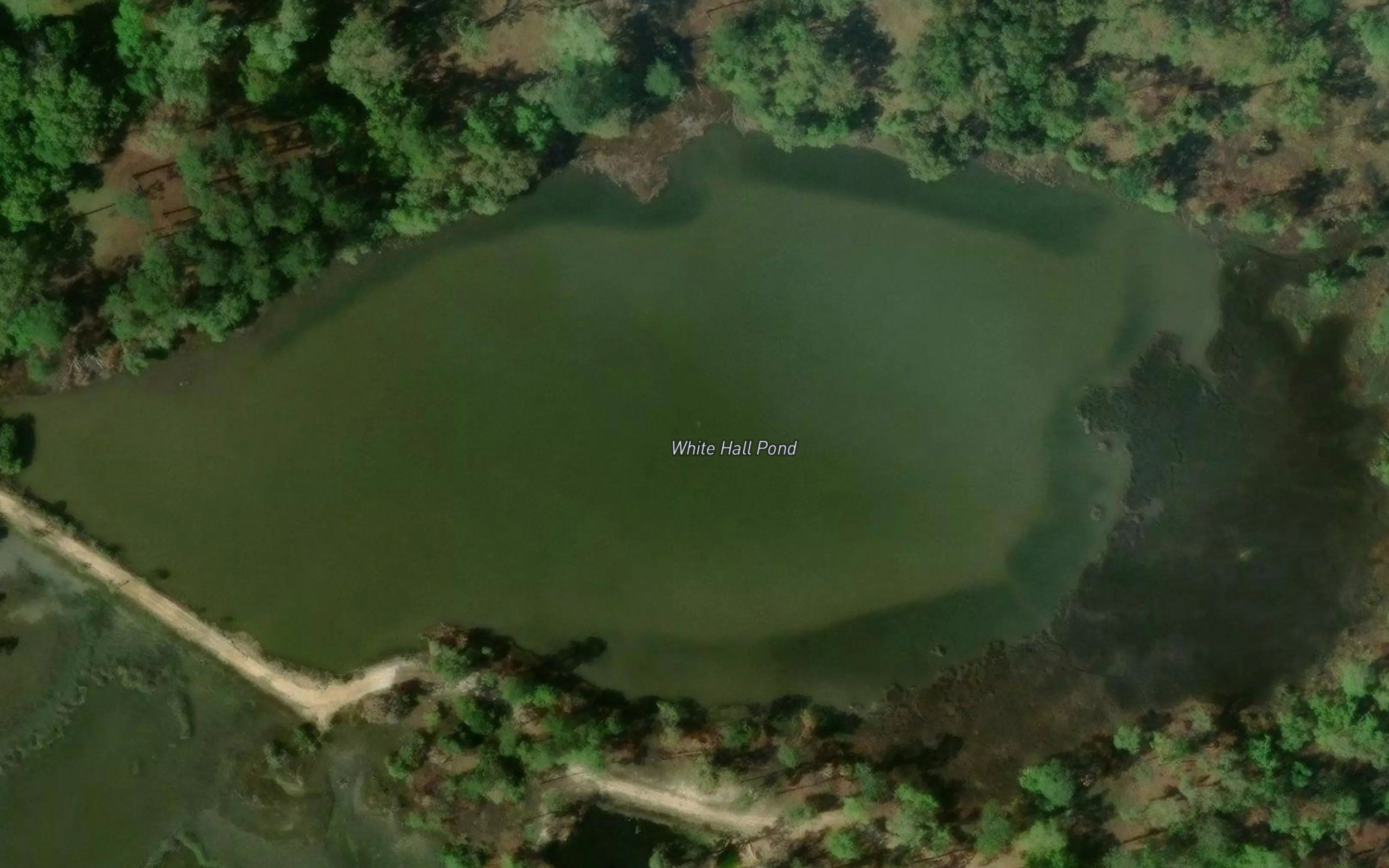 White Hall Pond