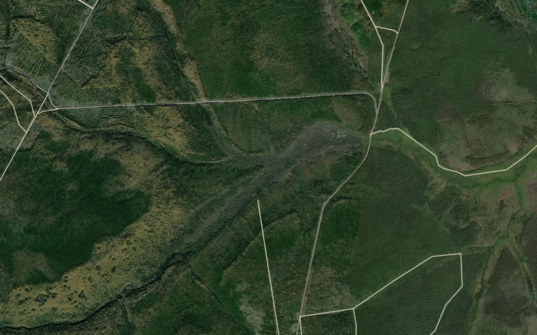 Satellite map of the Svetlyy