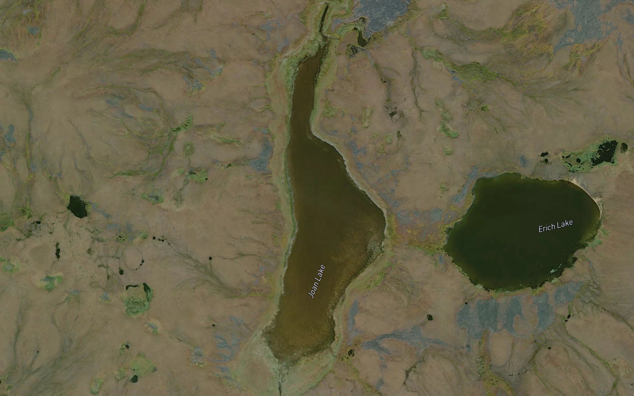 Joan Lake