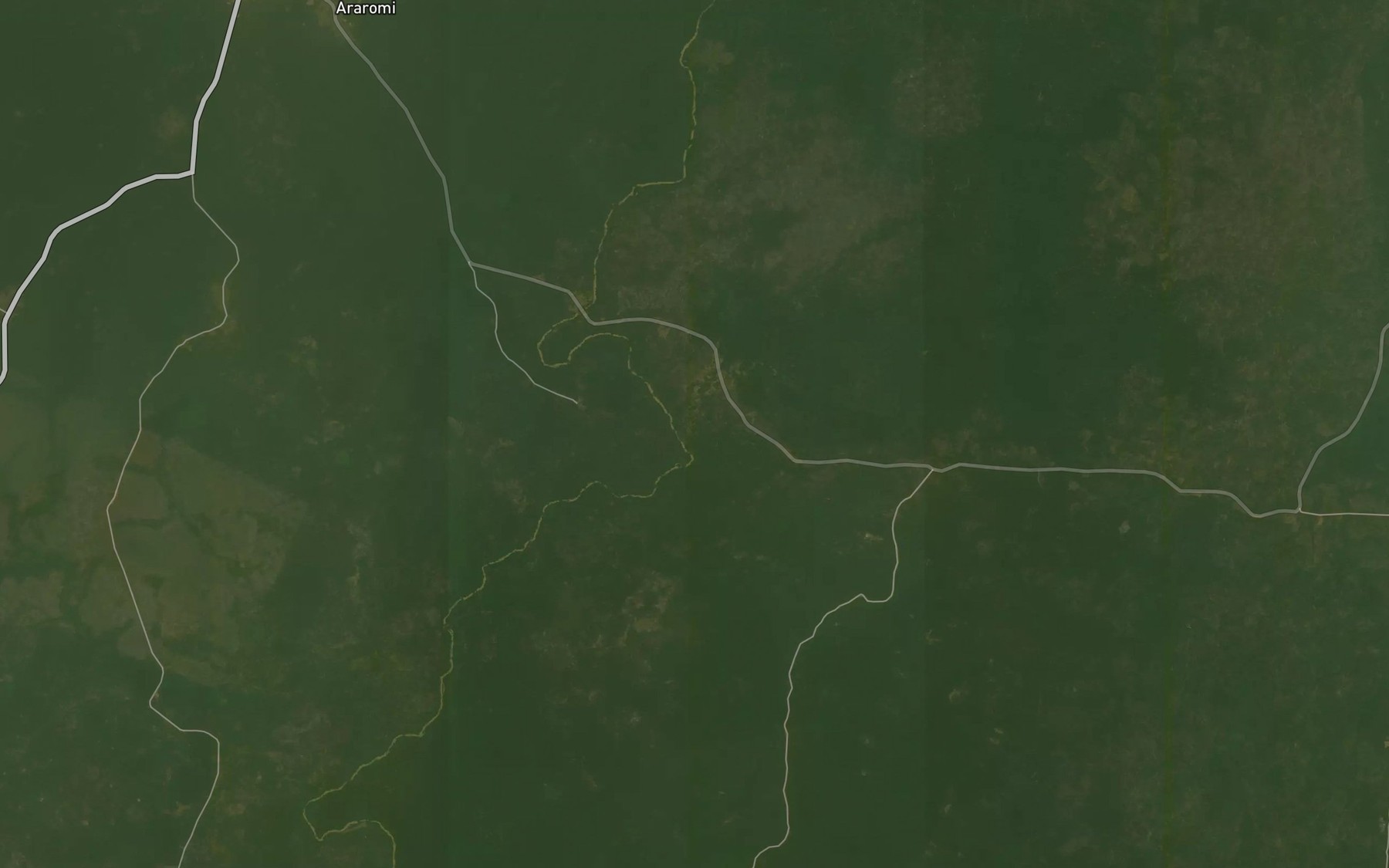 Satellite map of the River Erinta