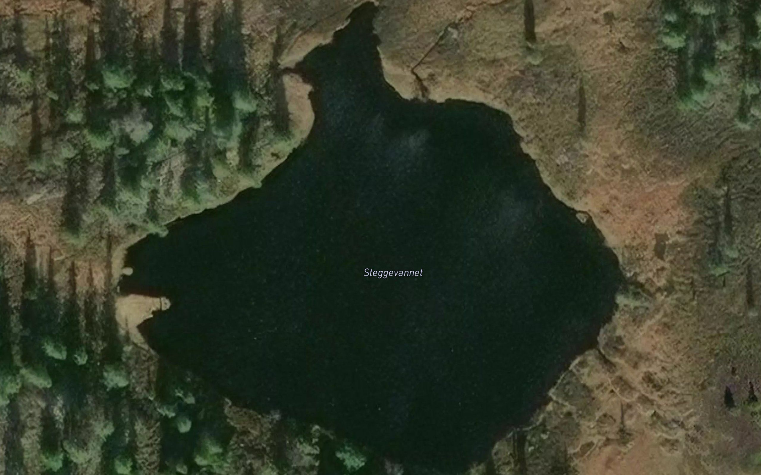Steggevannet