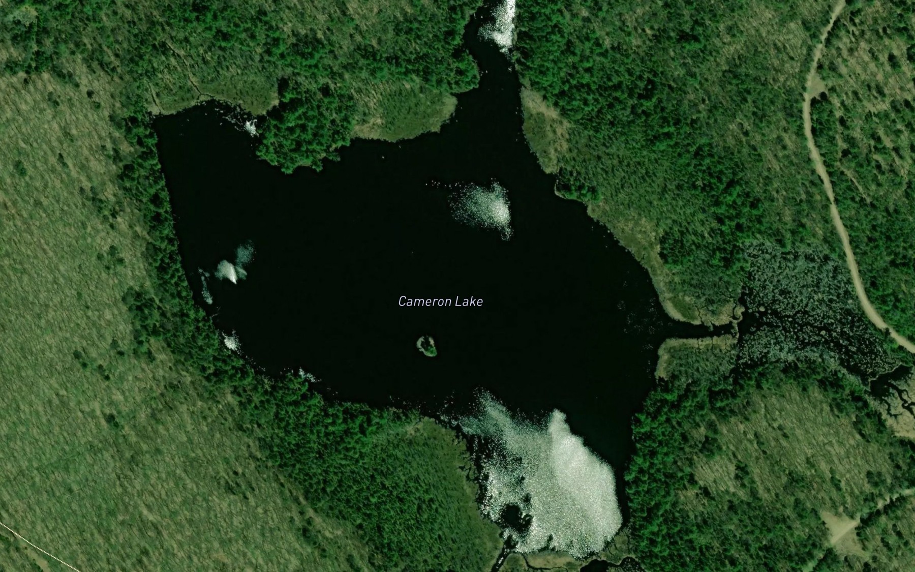 Satellite map of the Cameron Lake