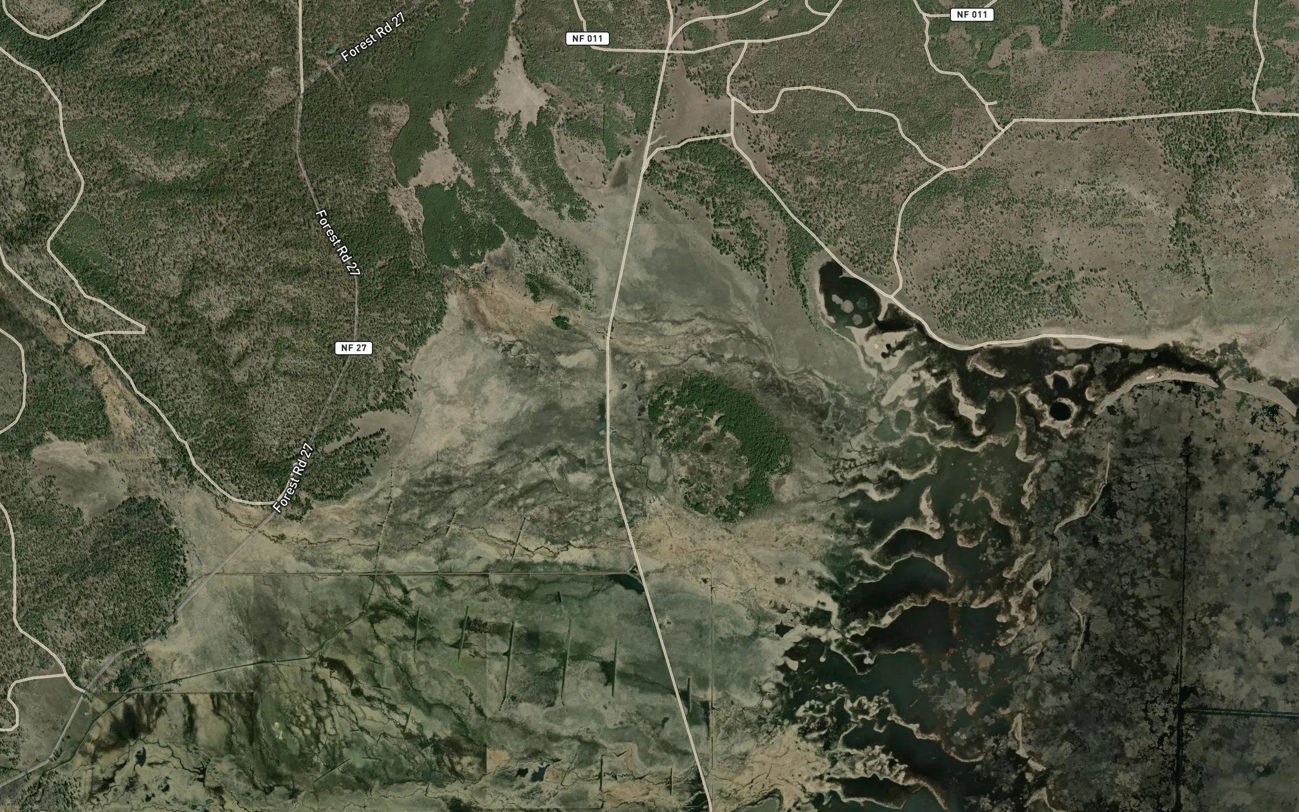 Coyote Creek