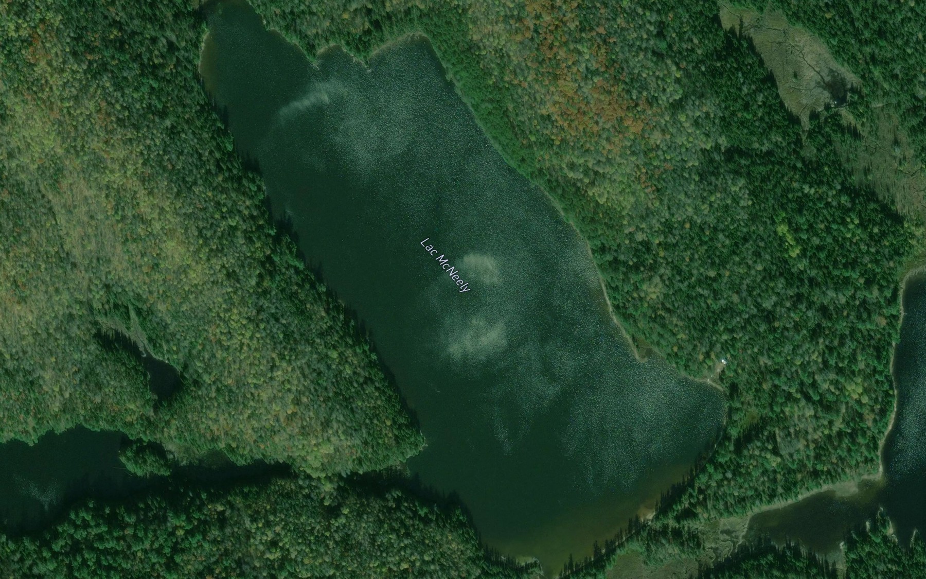 Satellite map of the Lac McNeely