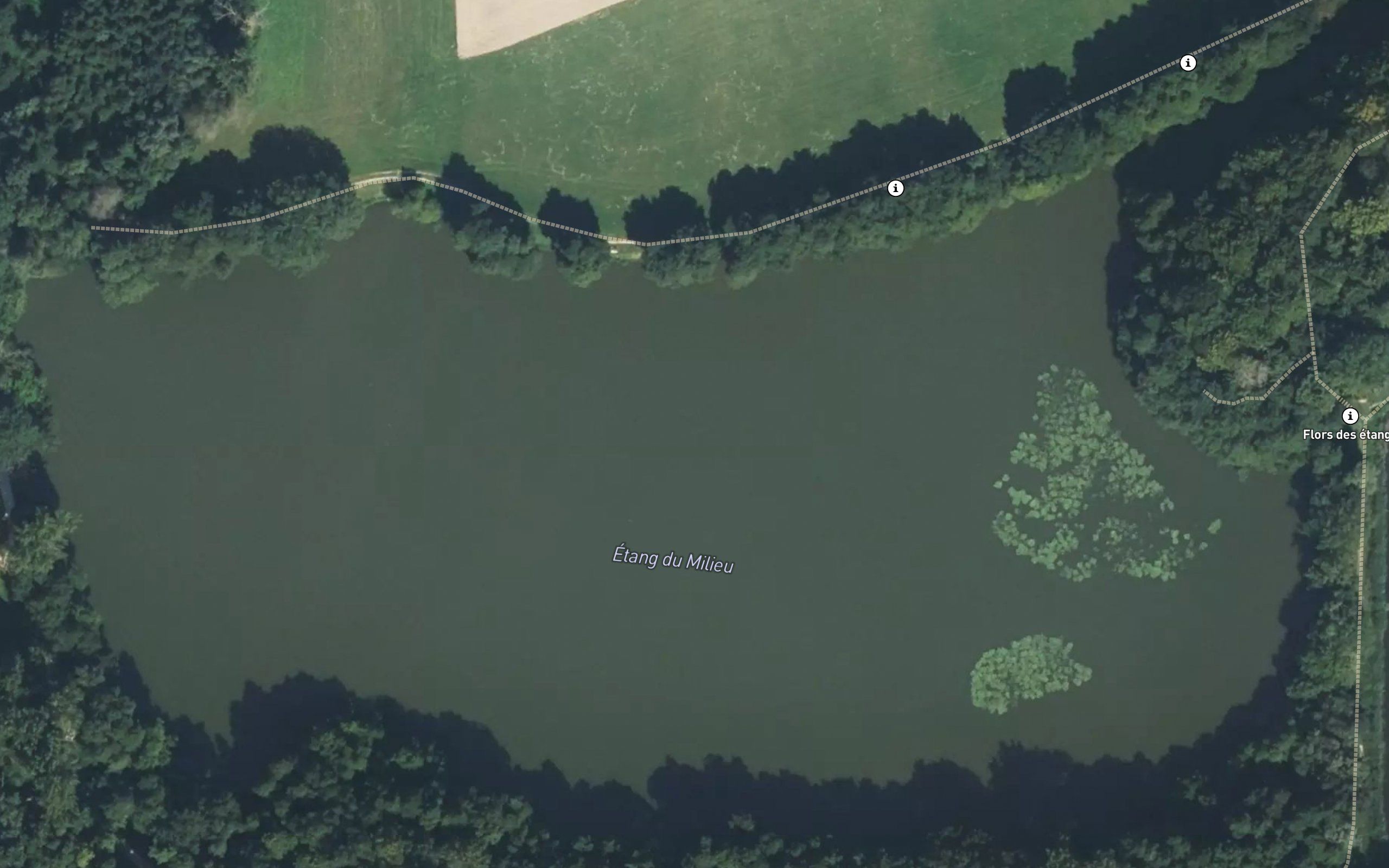Etang du Milieu