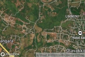 Plakkattampalli Todu