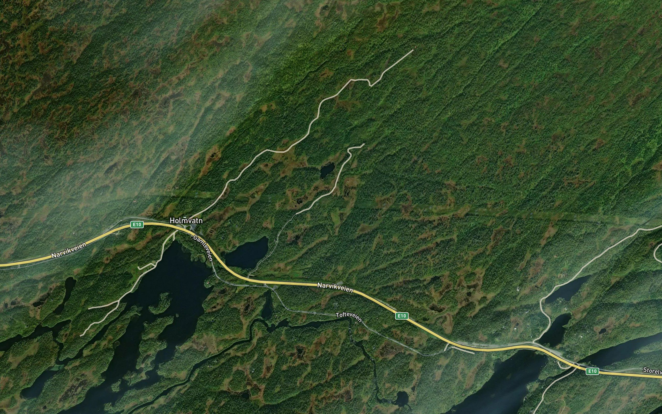 Svanevasselva