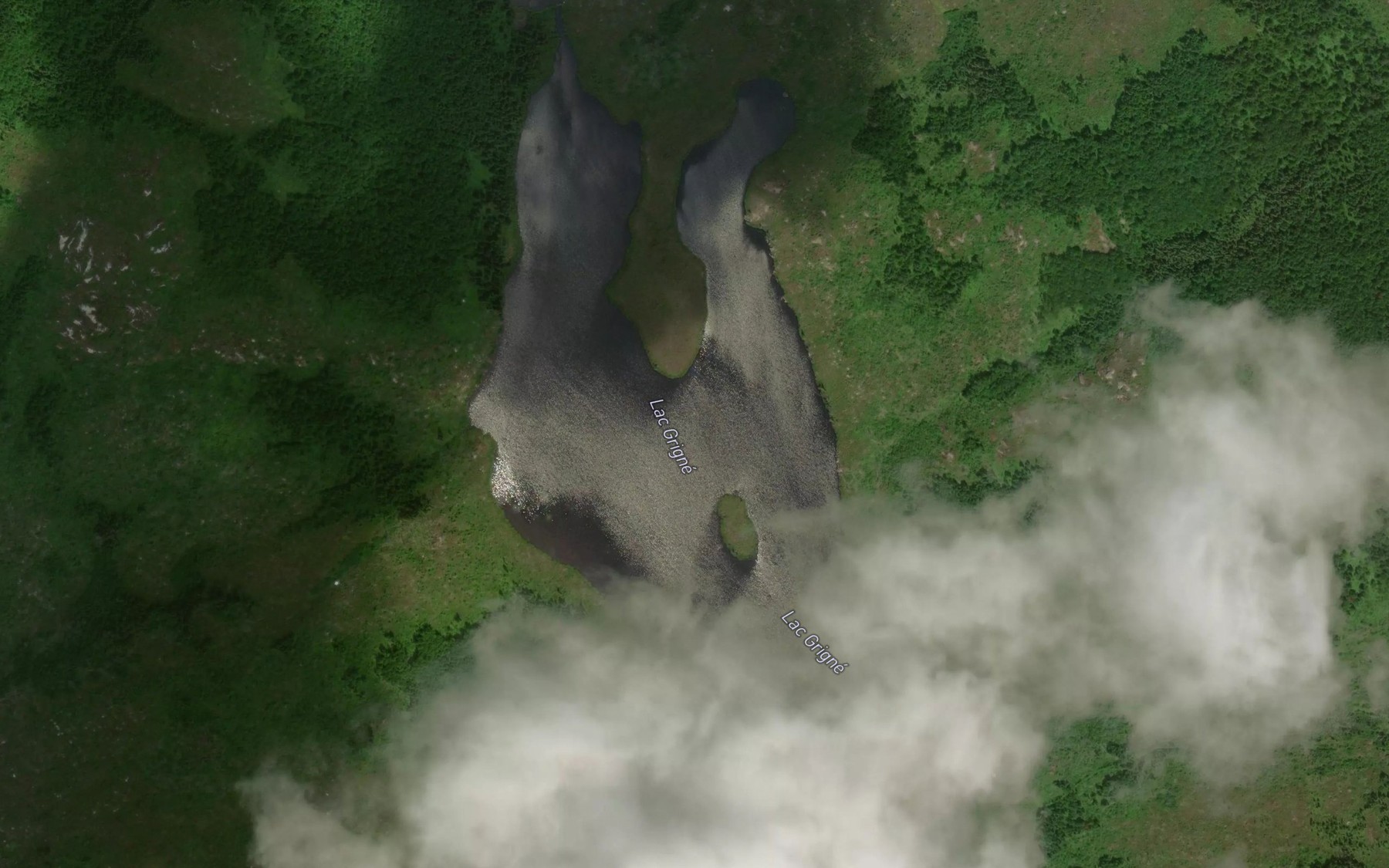 Satellite map of the Lac Grigne