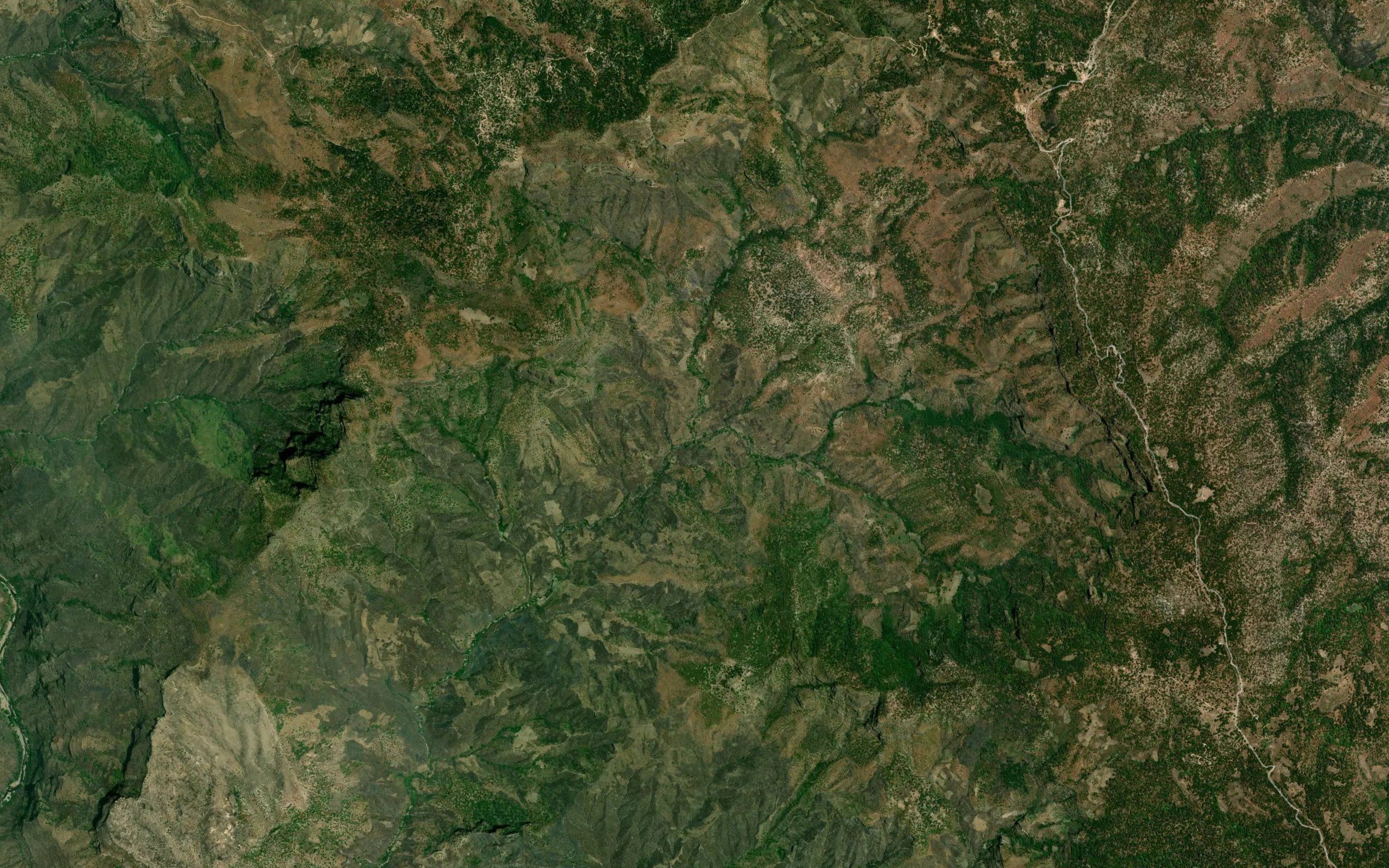 Los Corpus